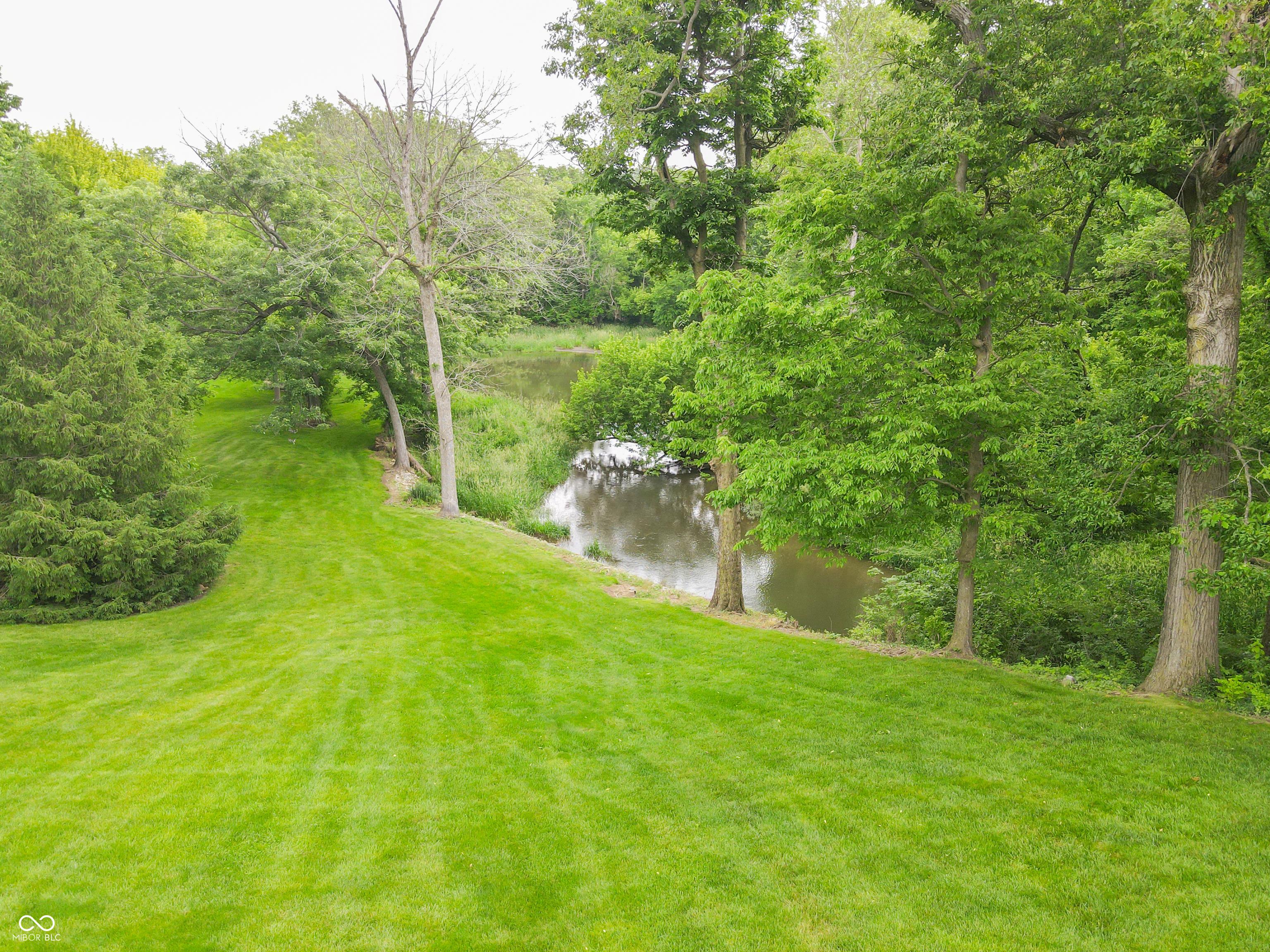 Photo #61