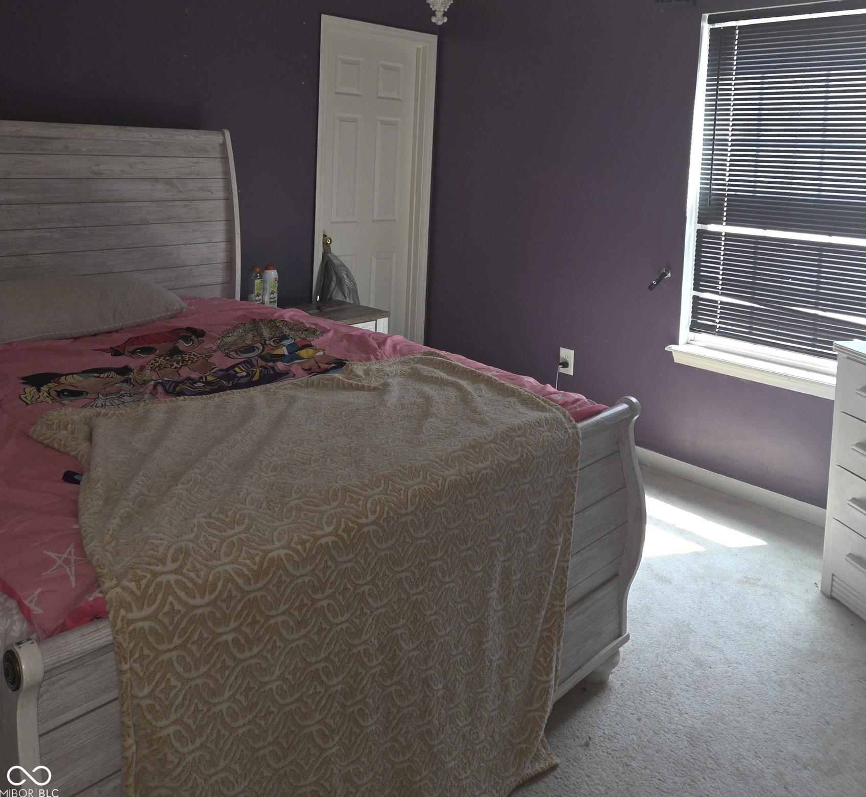 Photo #26