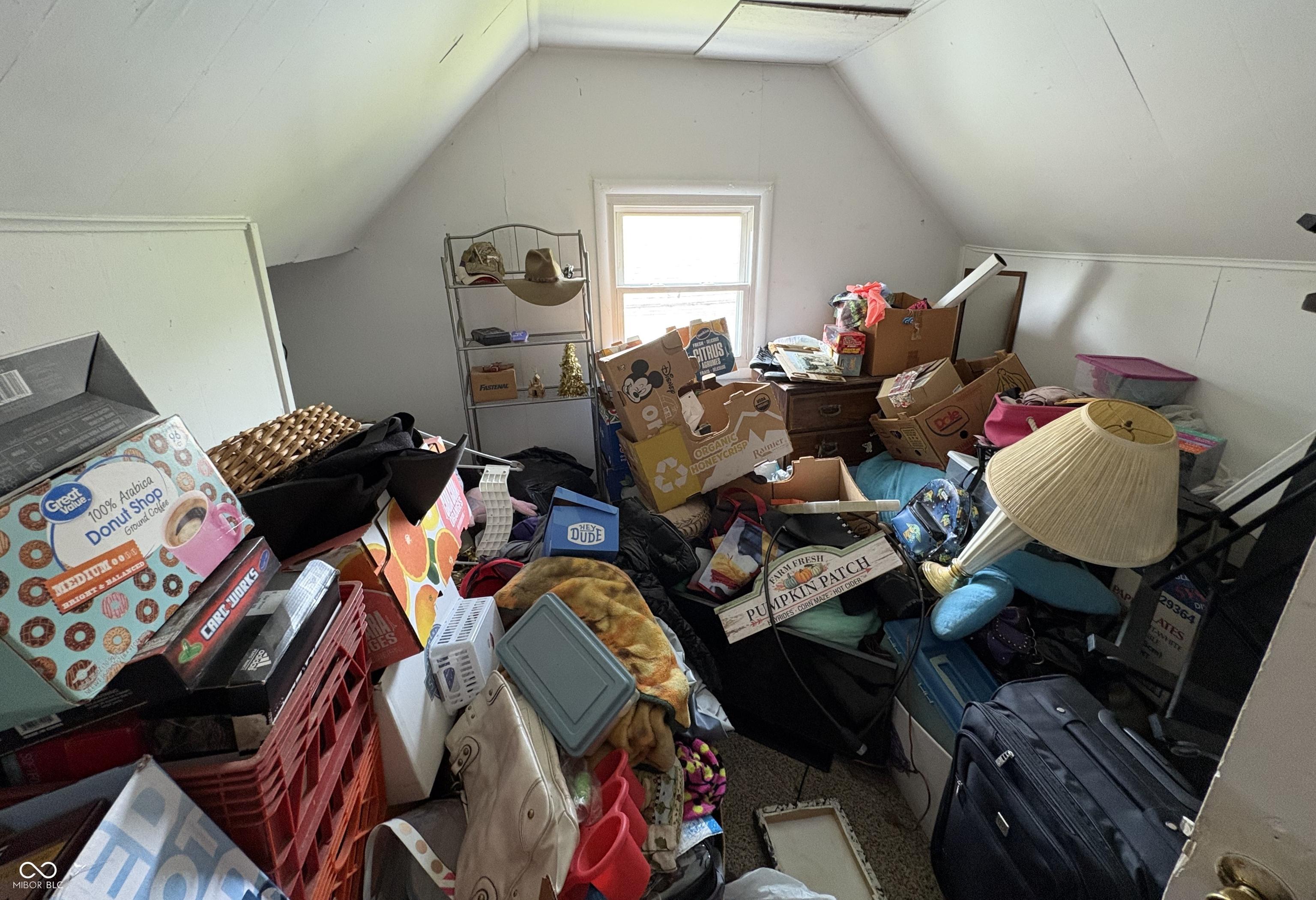 Photo #14