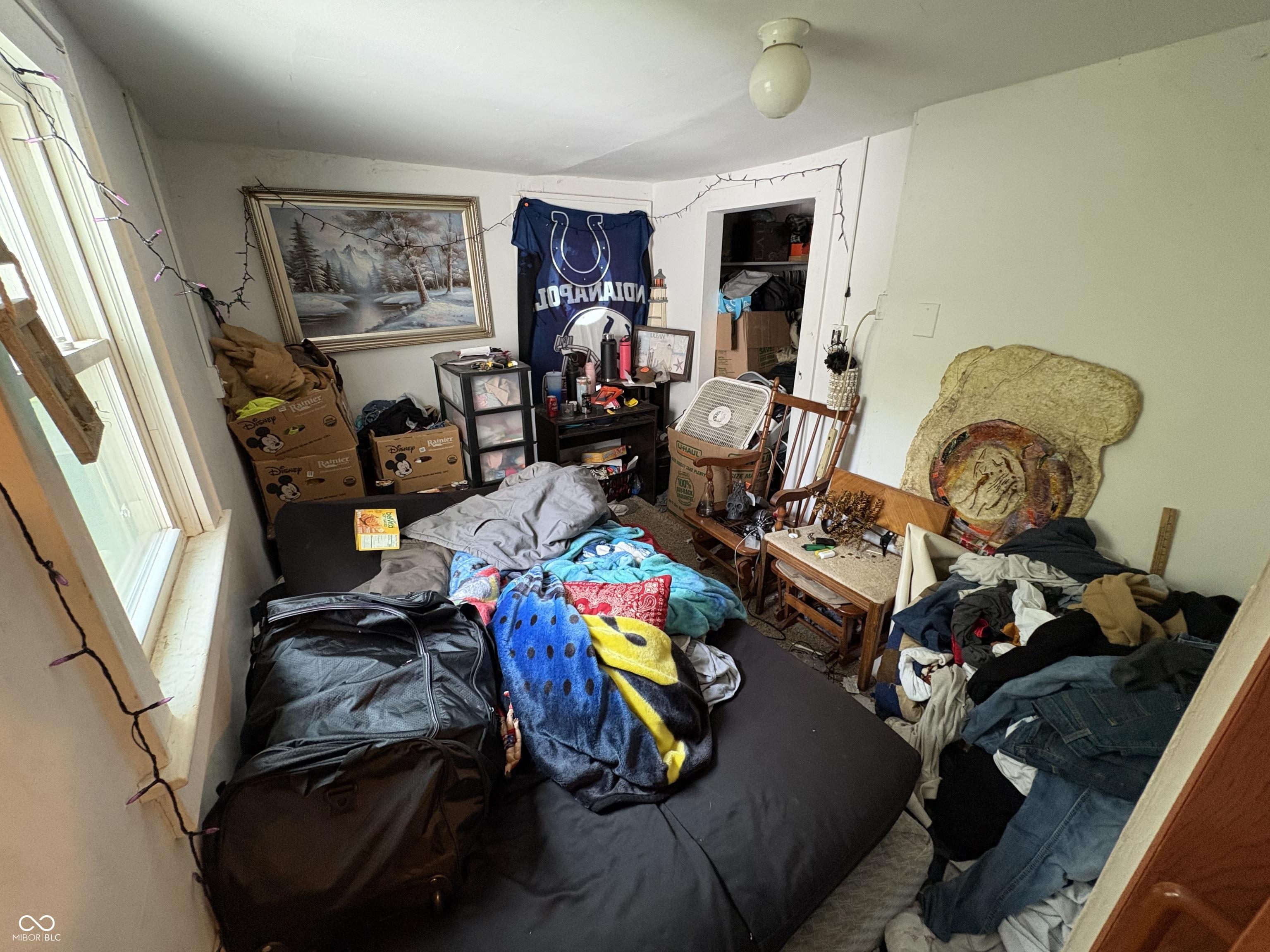 Photo #12