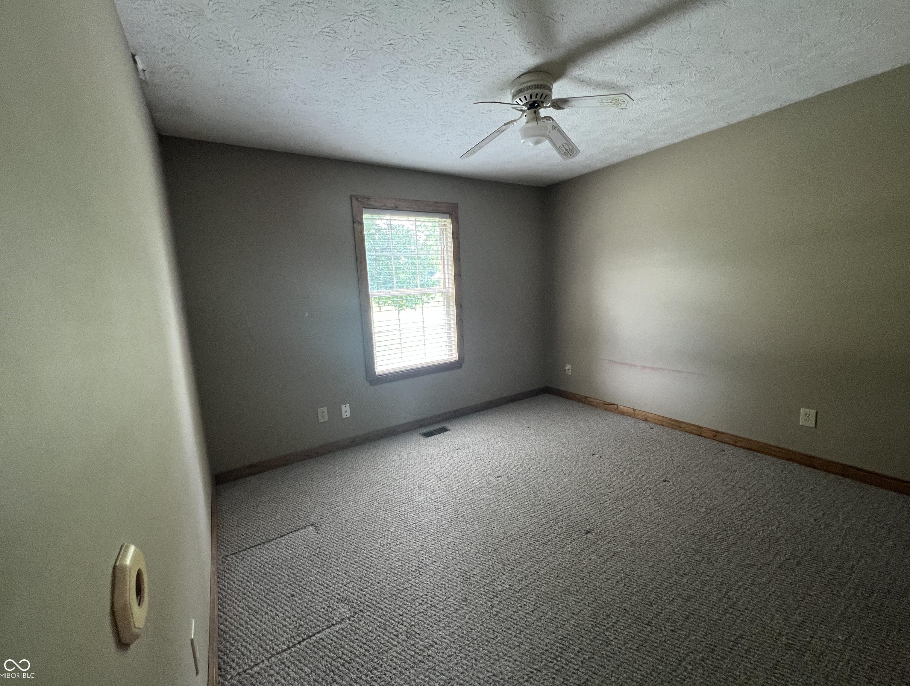 Photo #21