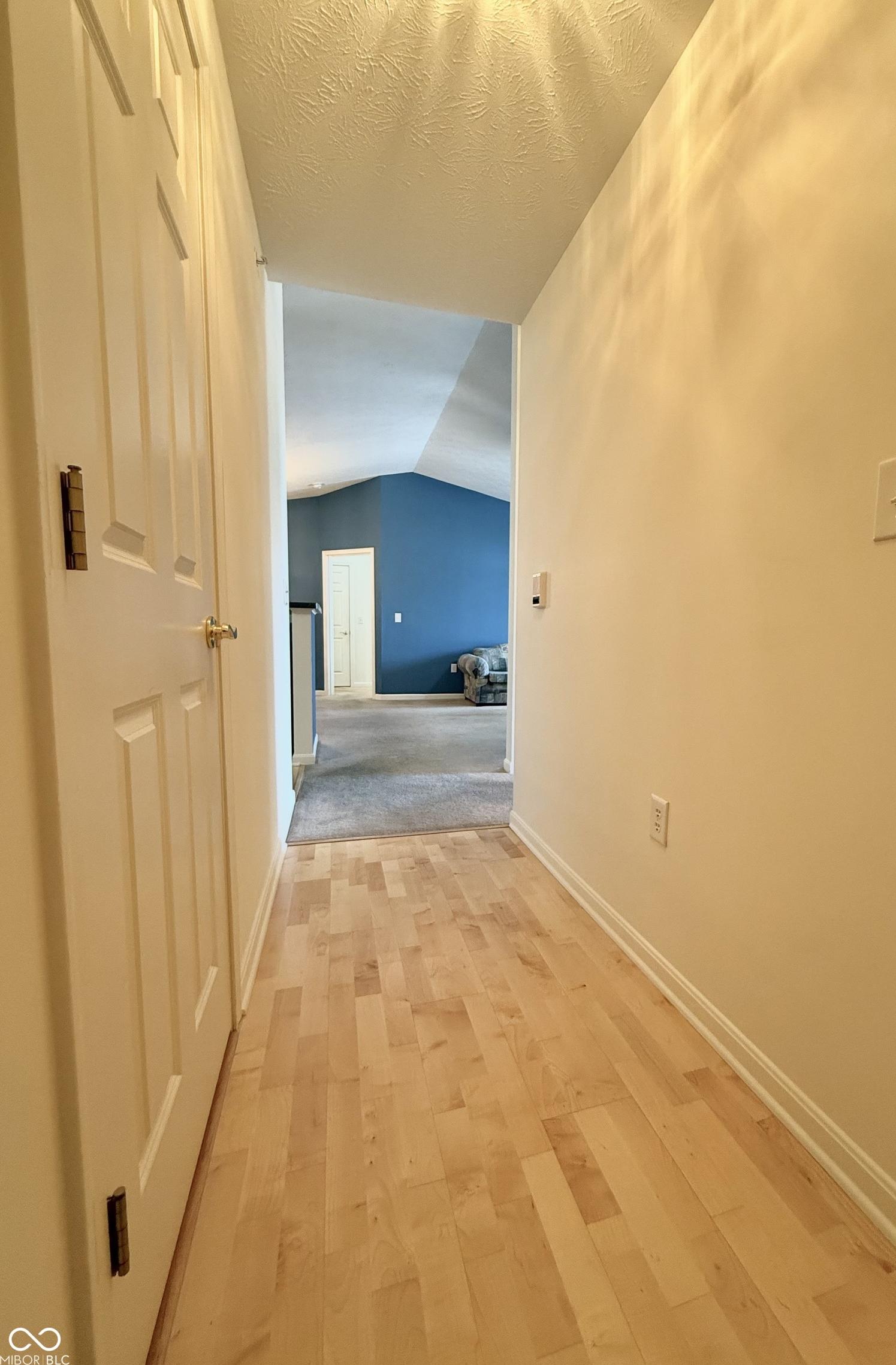 Photo #6
