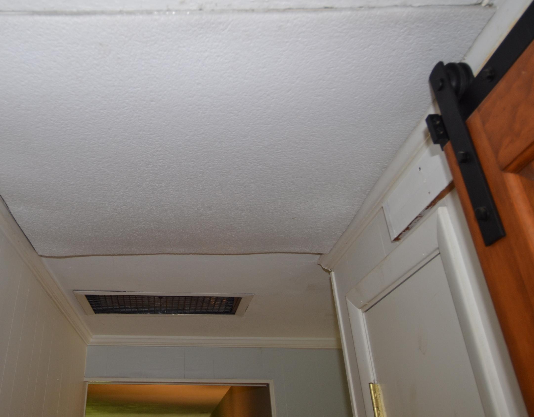 Photo #19
