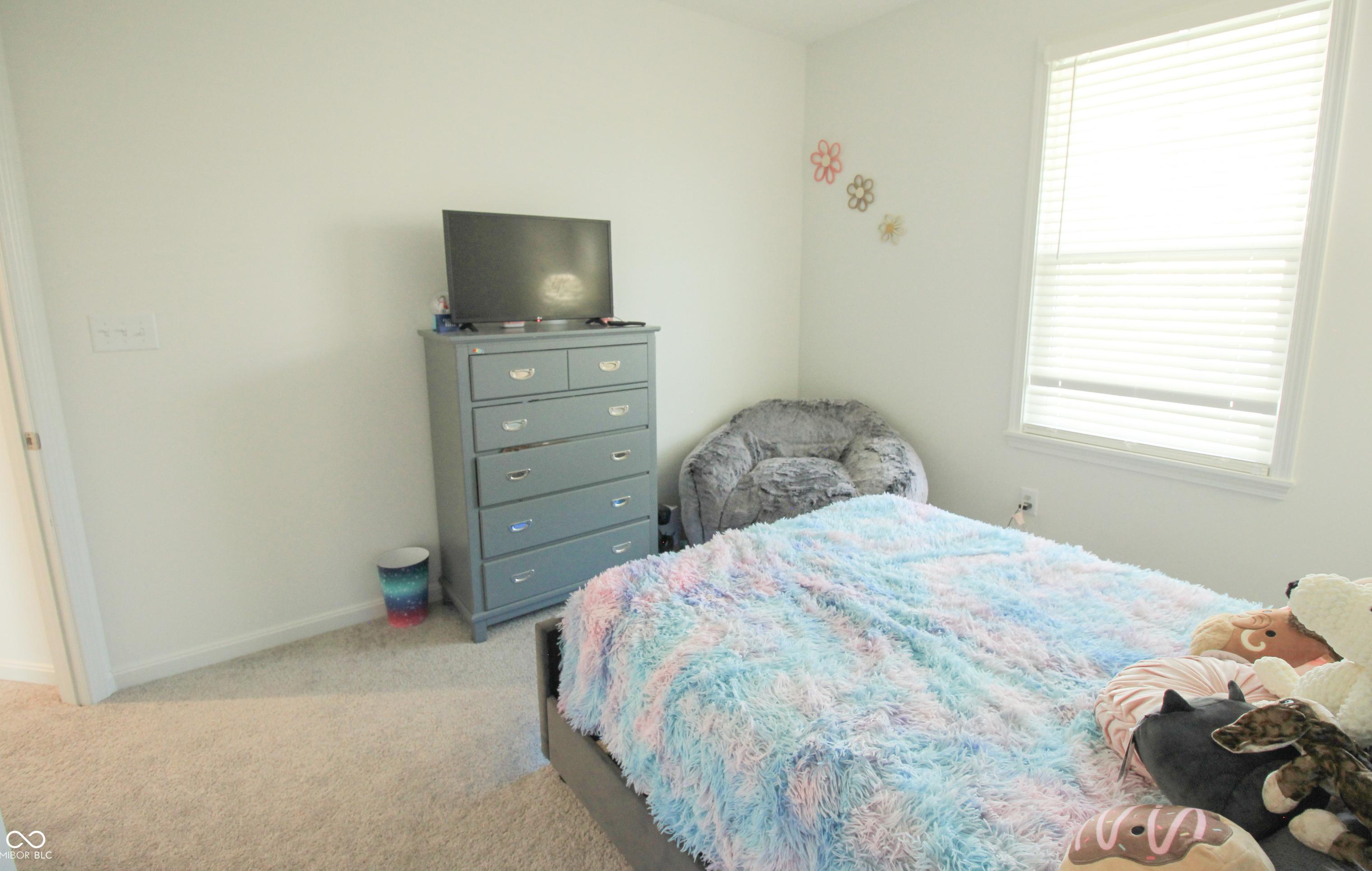 Photo #14