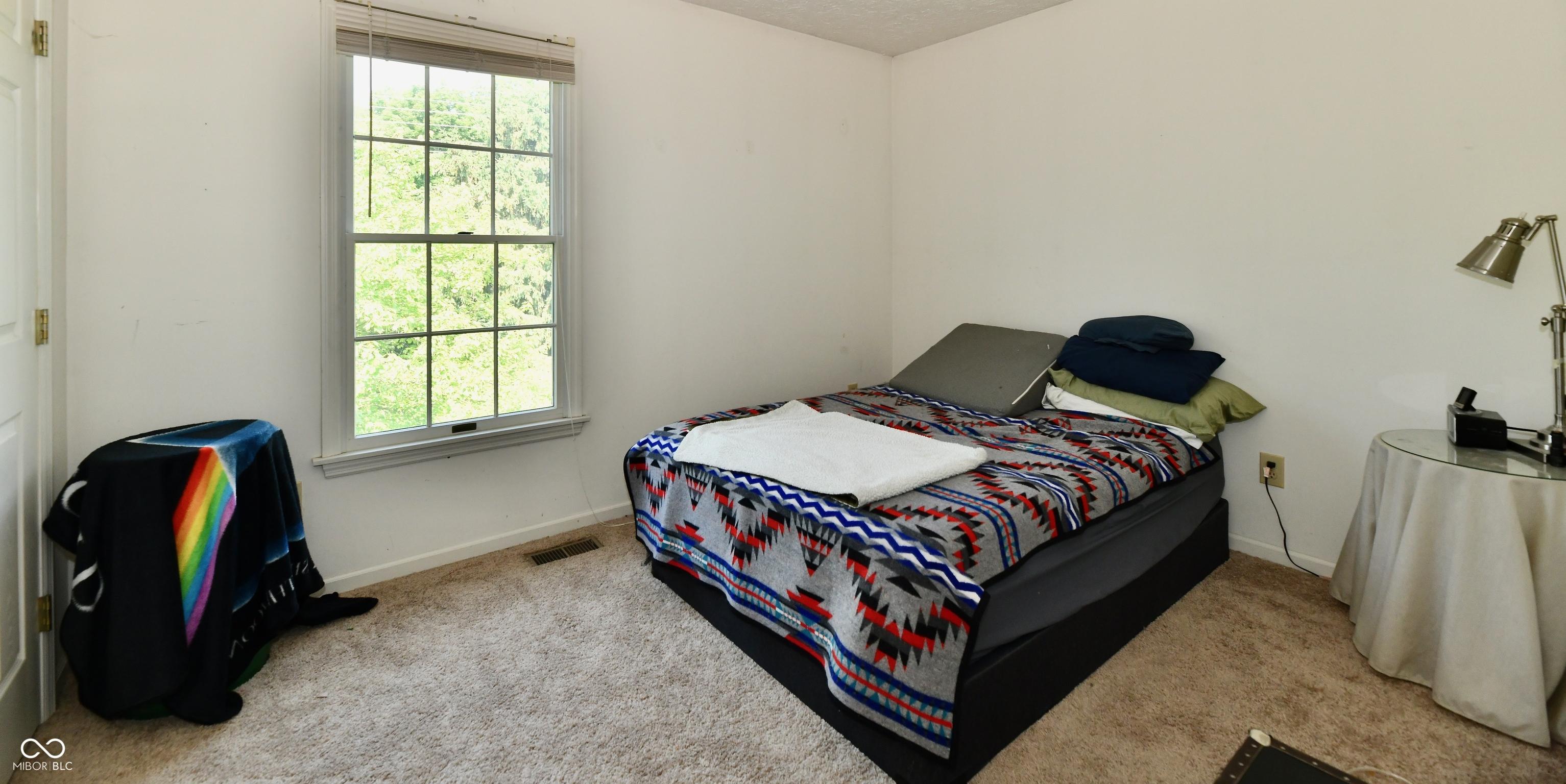 Photo #15