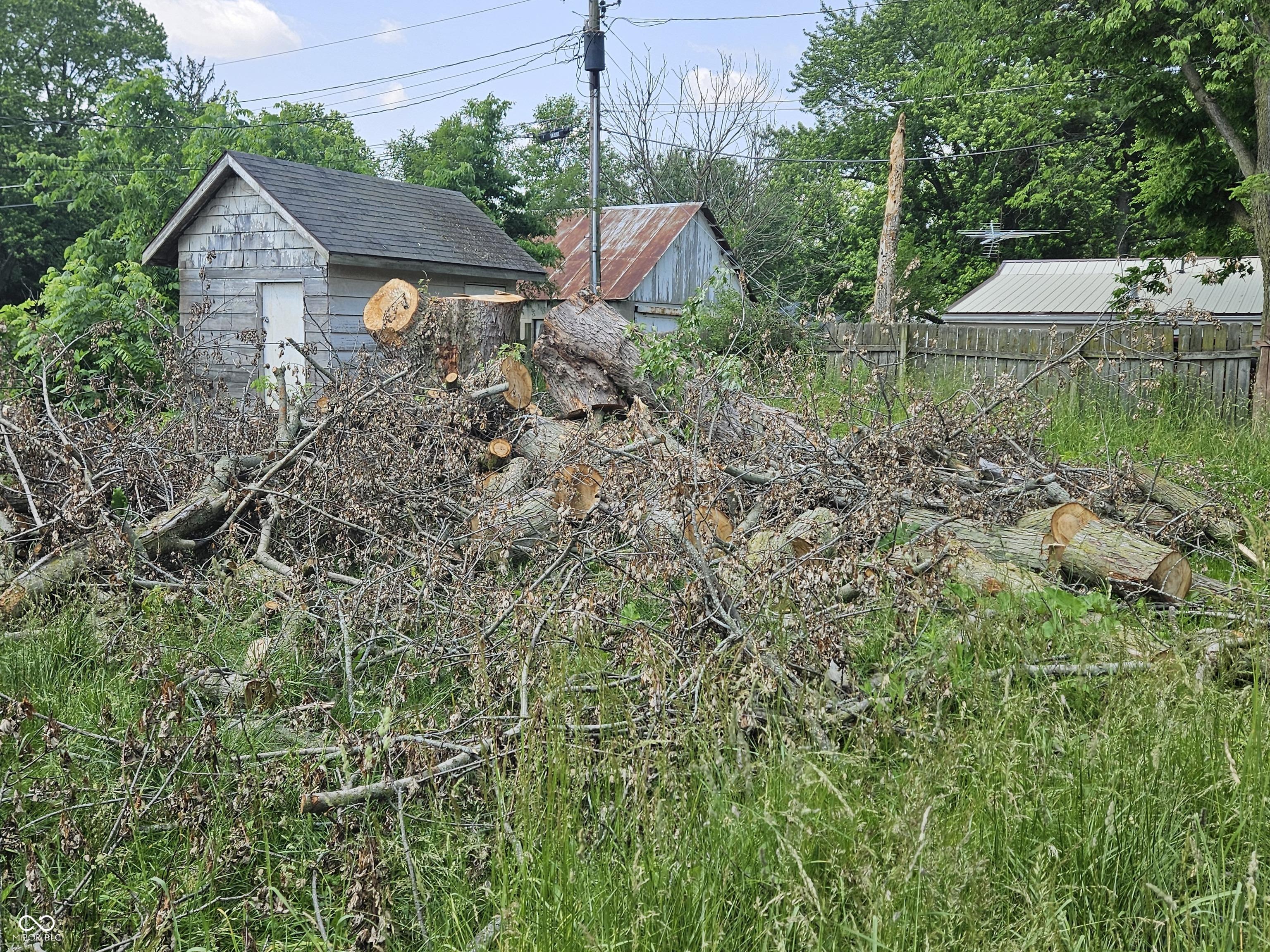 Photo #21