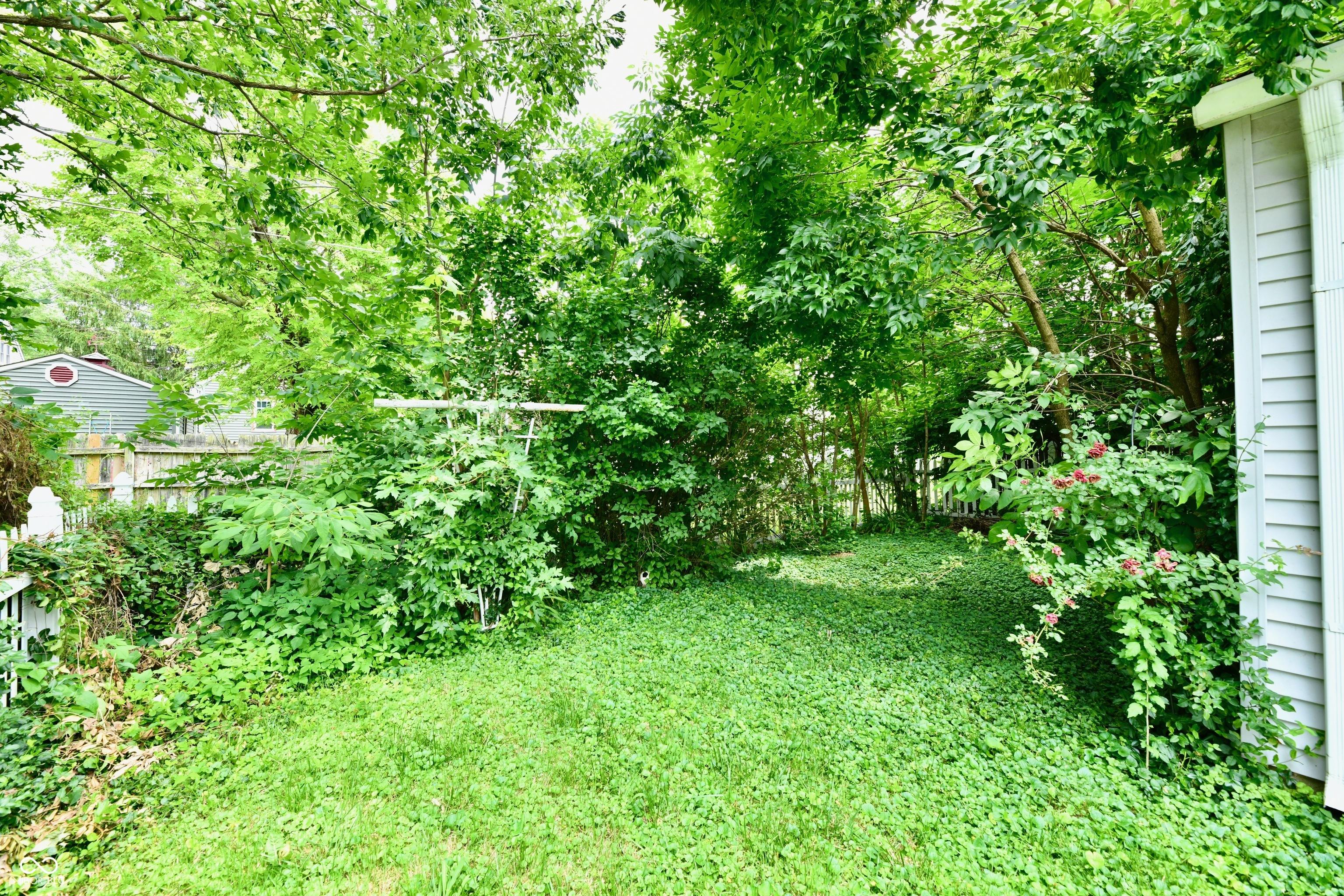 Photo #4