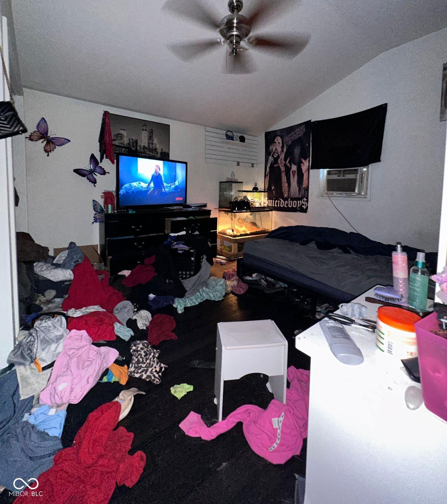 Photo #6