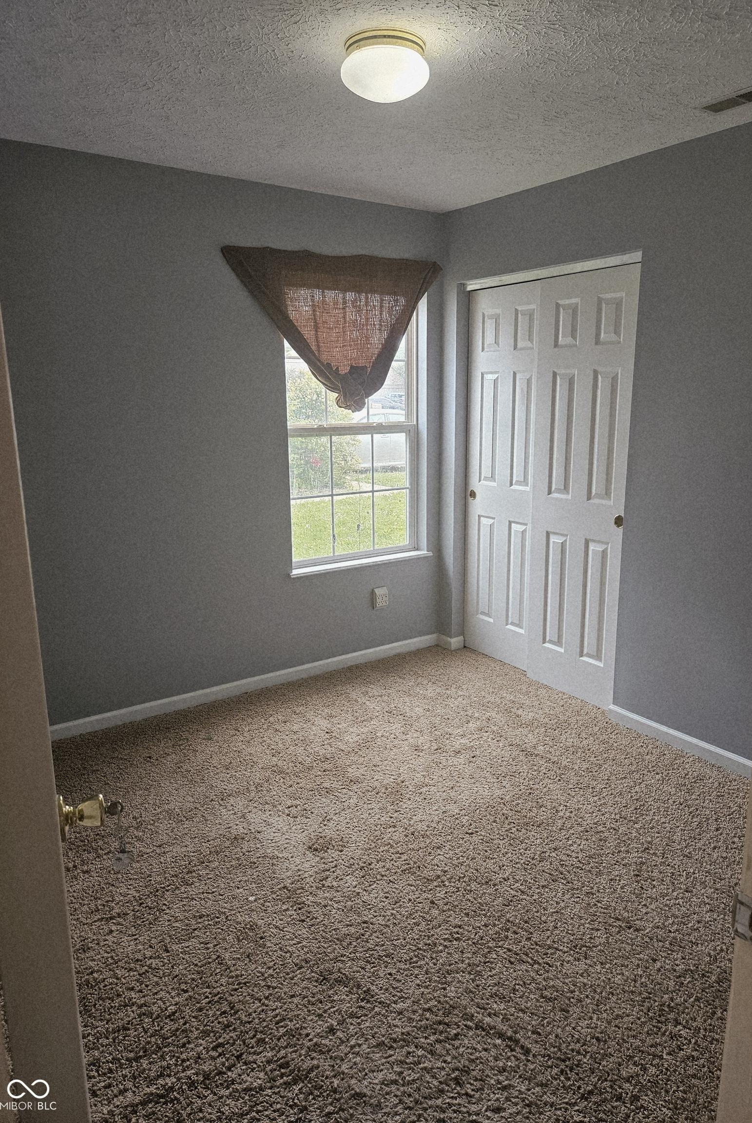 Photo #12
