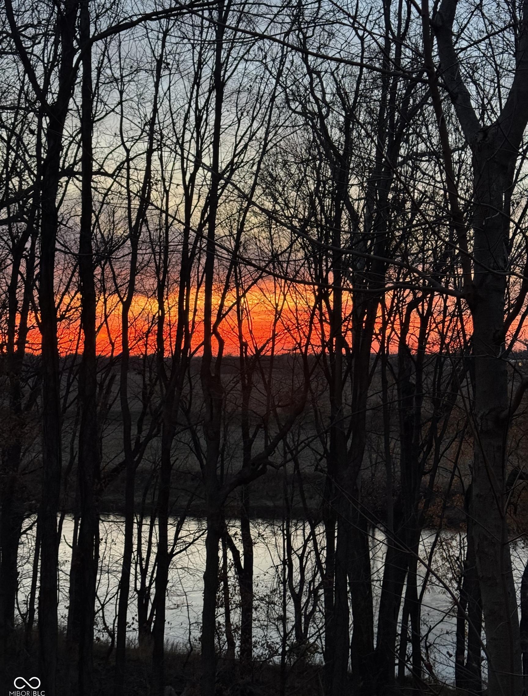 Photo #32