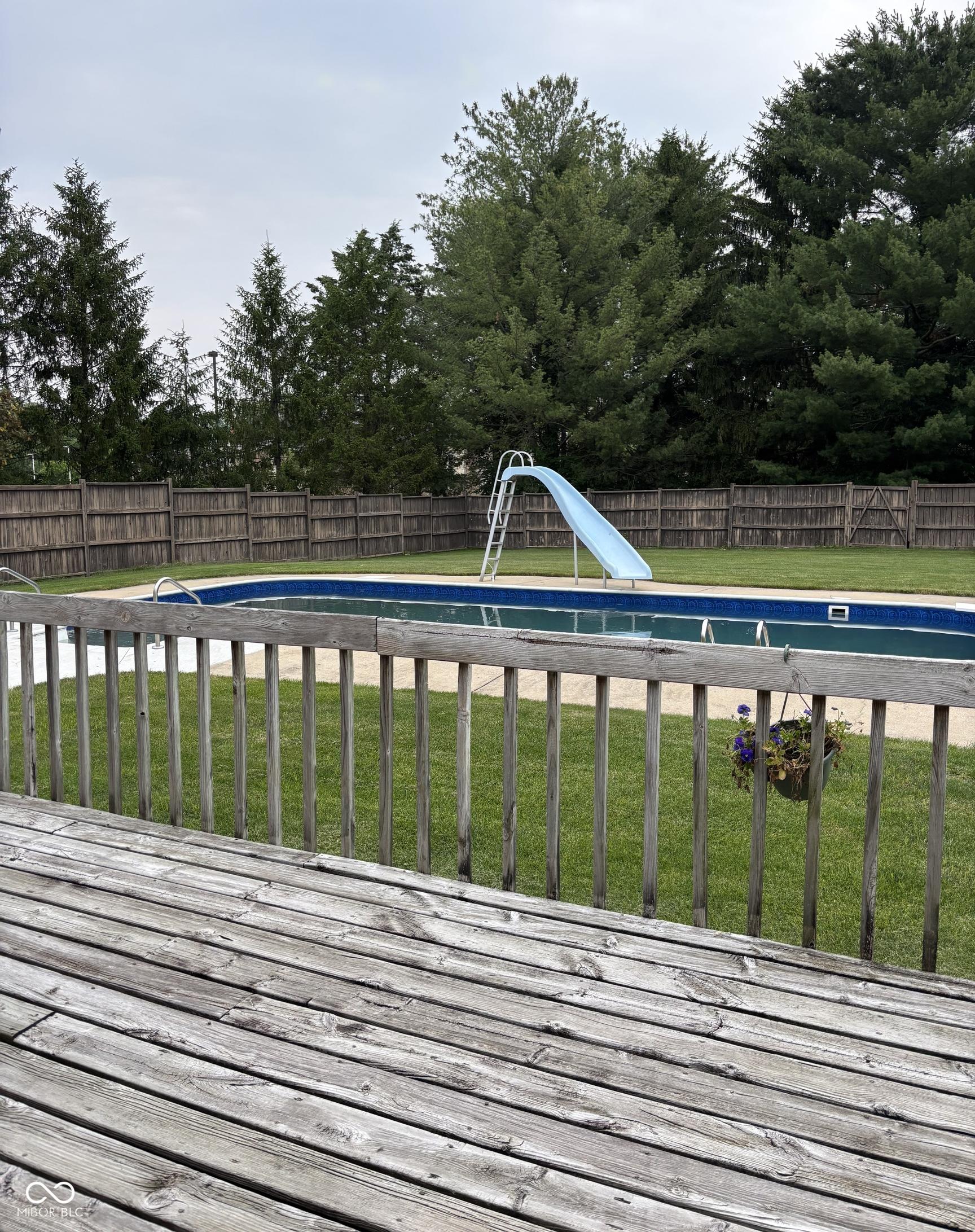 Photo #43