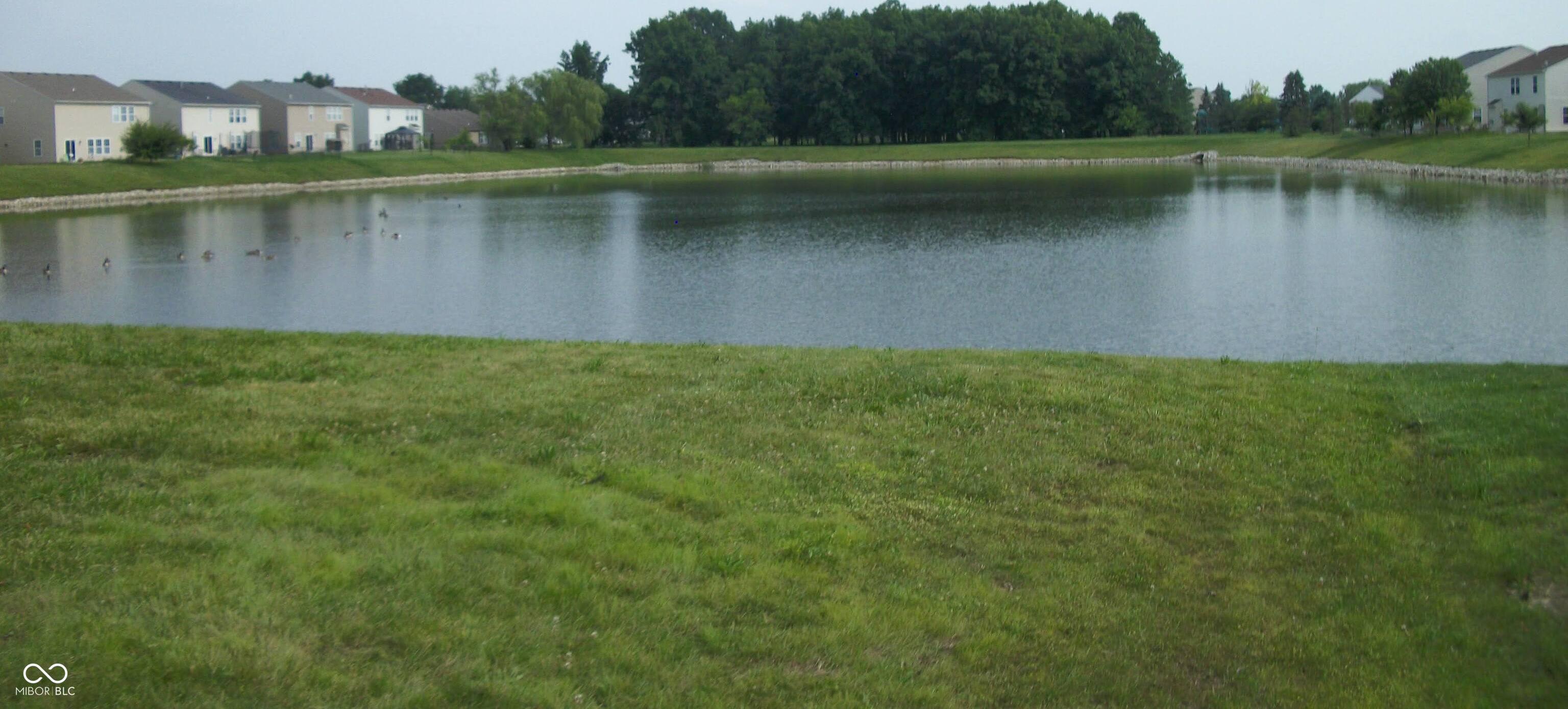 Photo #28