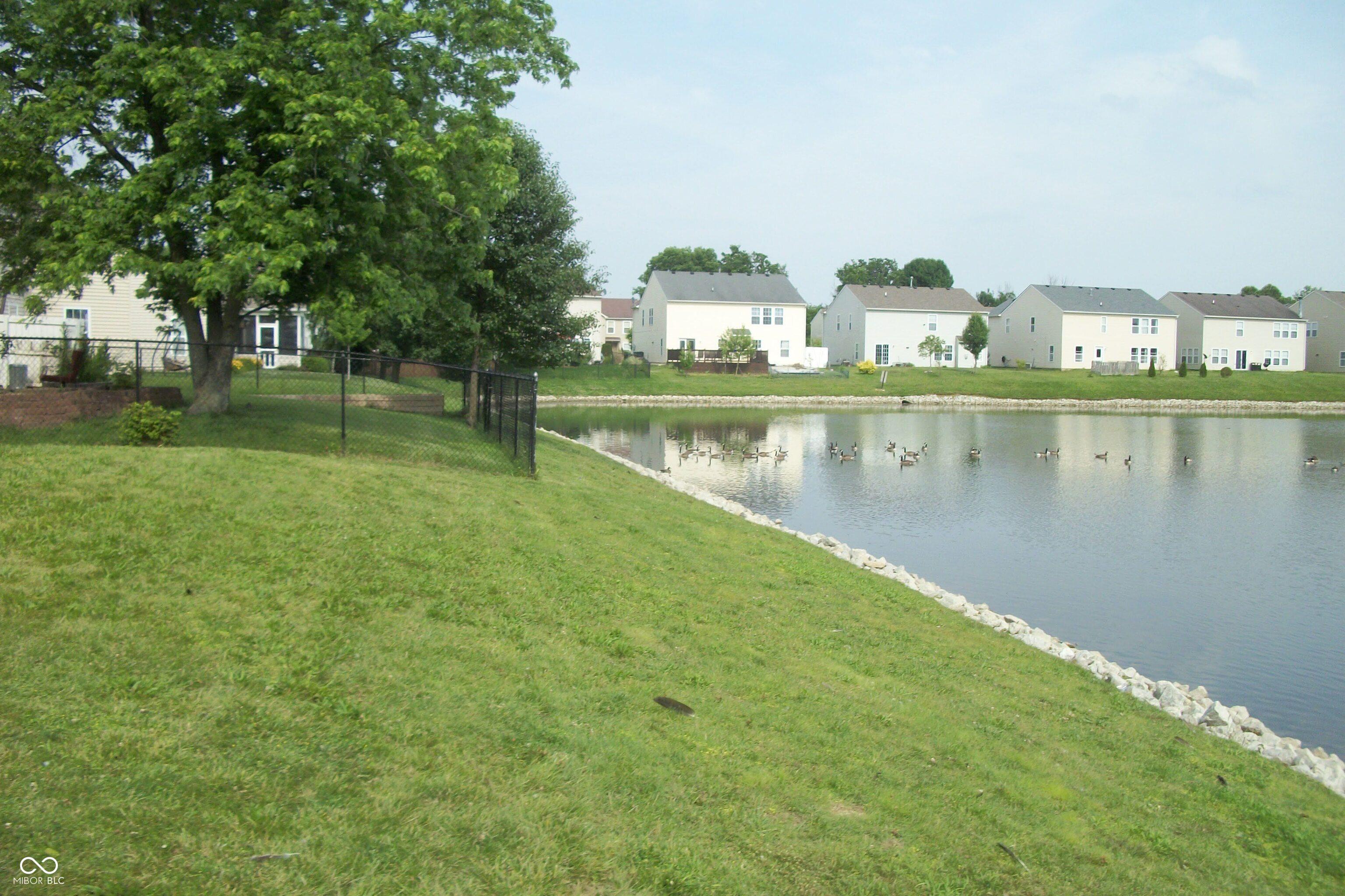 Photo #29