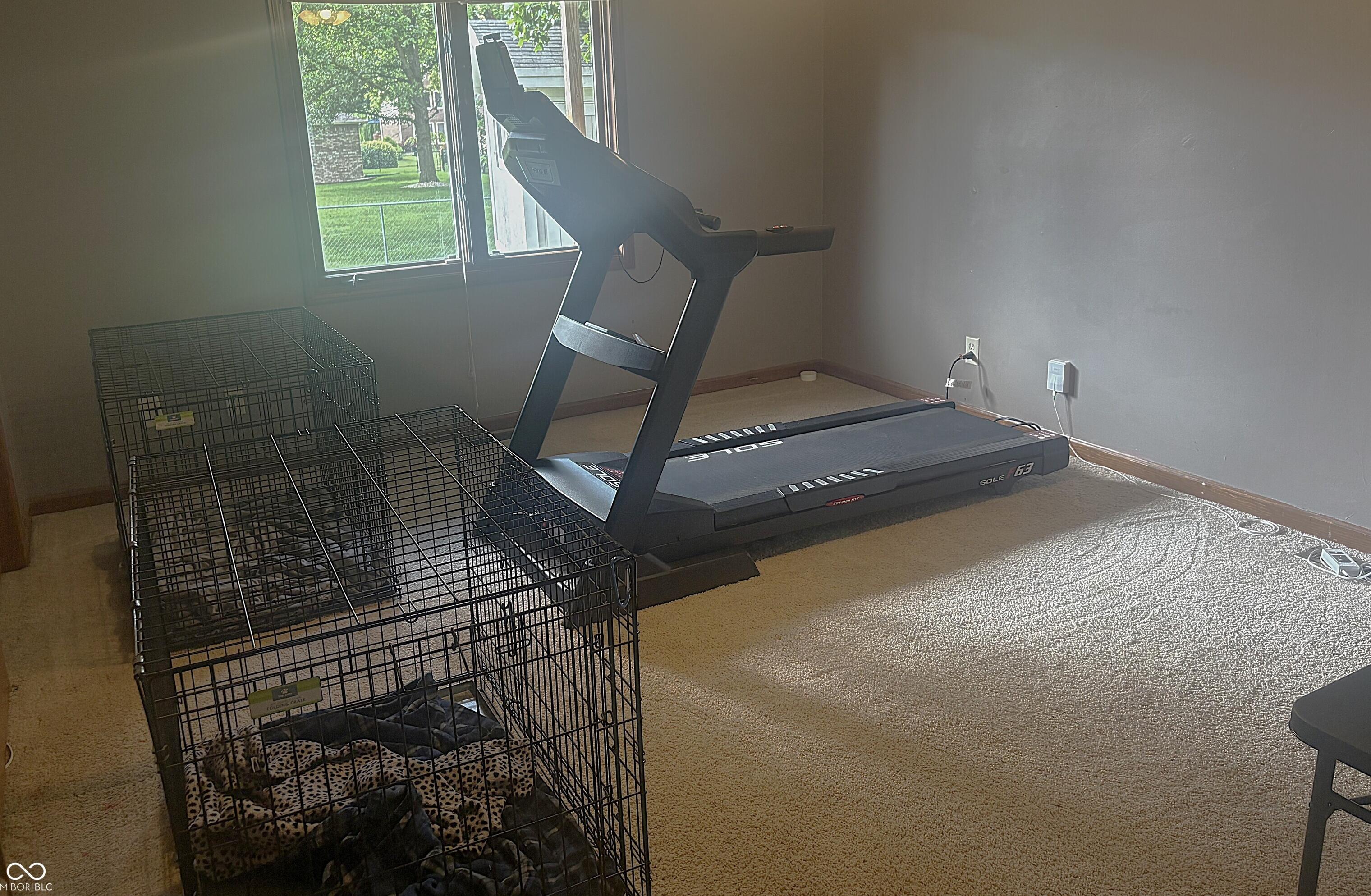 Photo #23