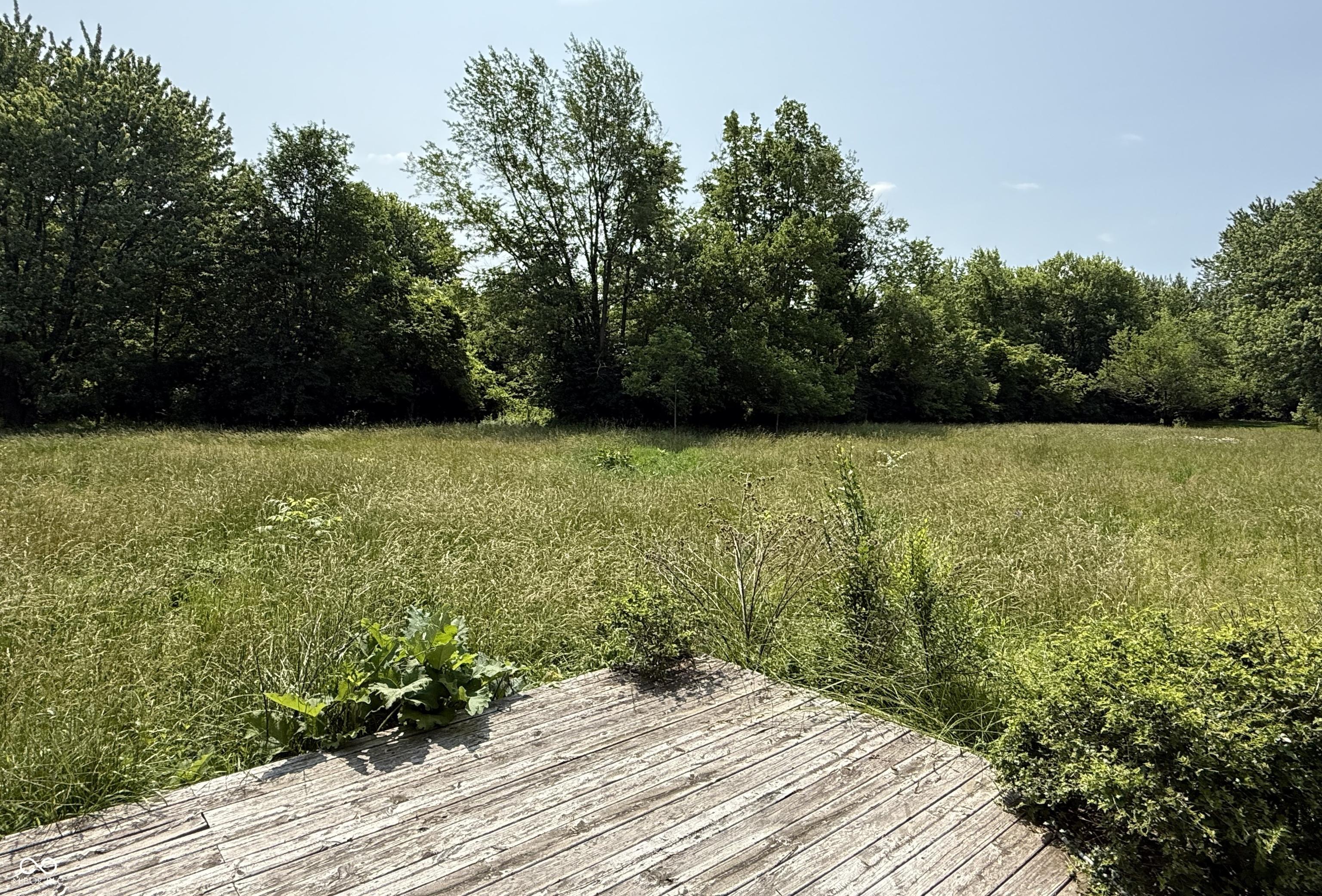 Photo #5