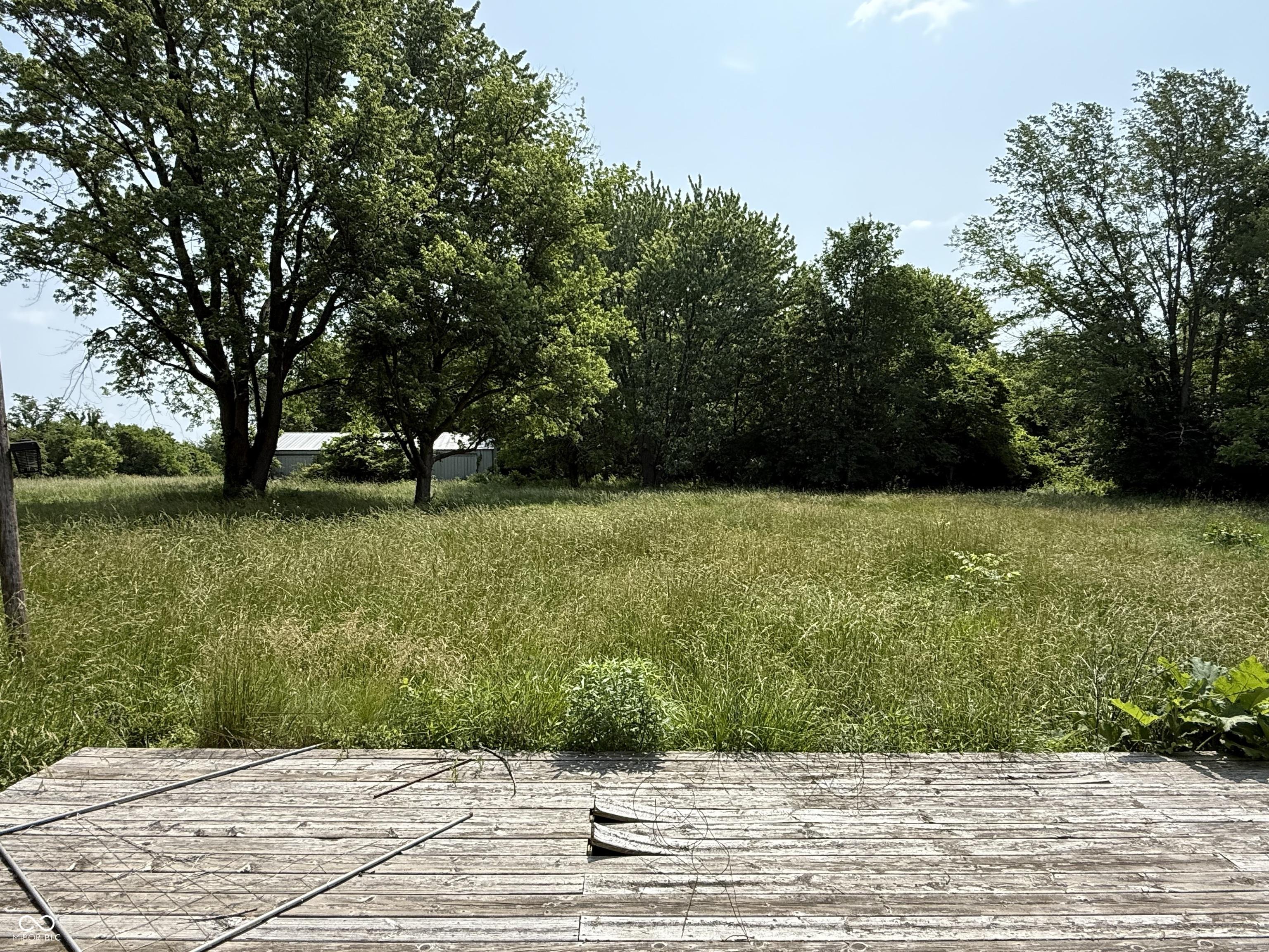 Photo #6