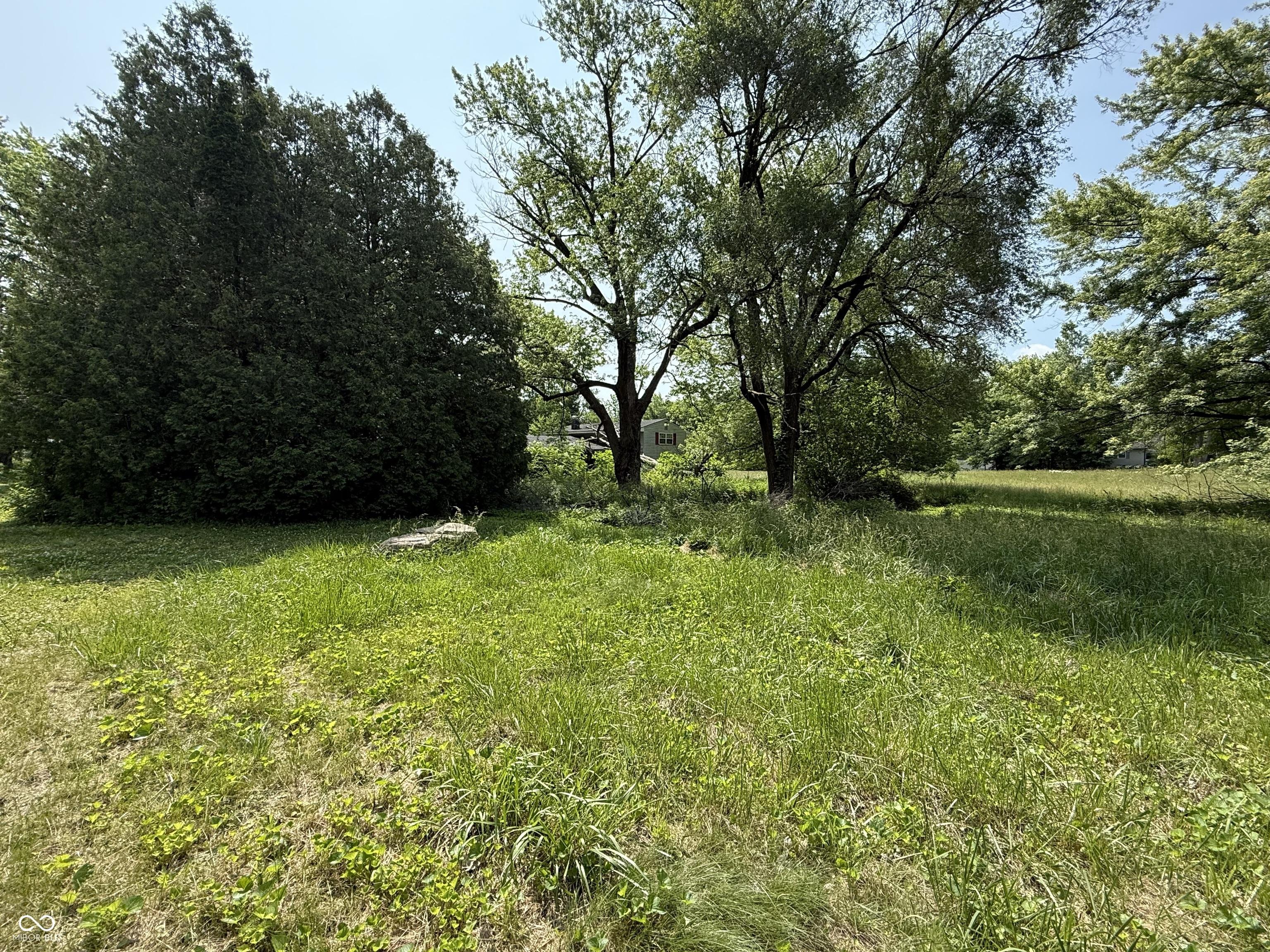 Photo #4
