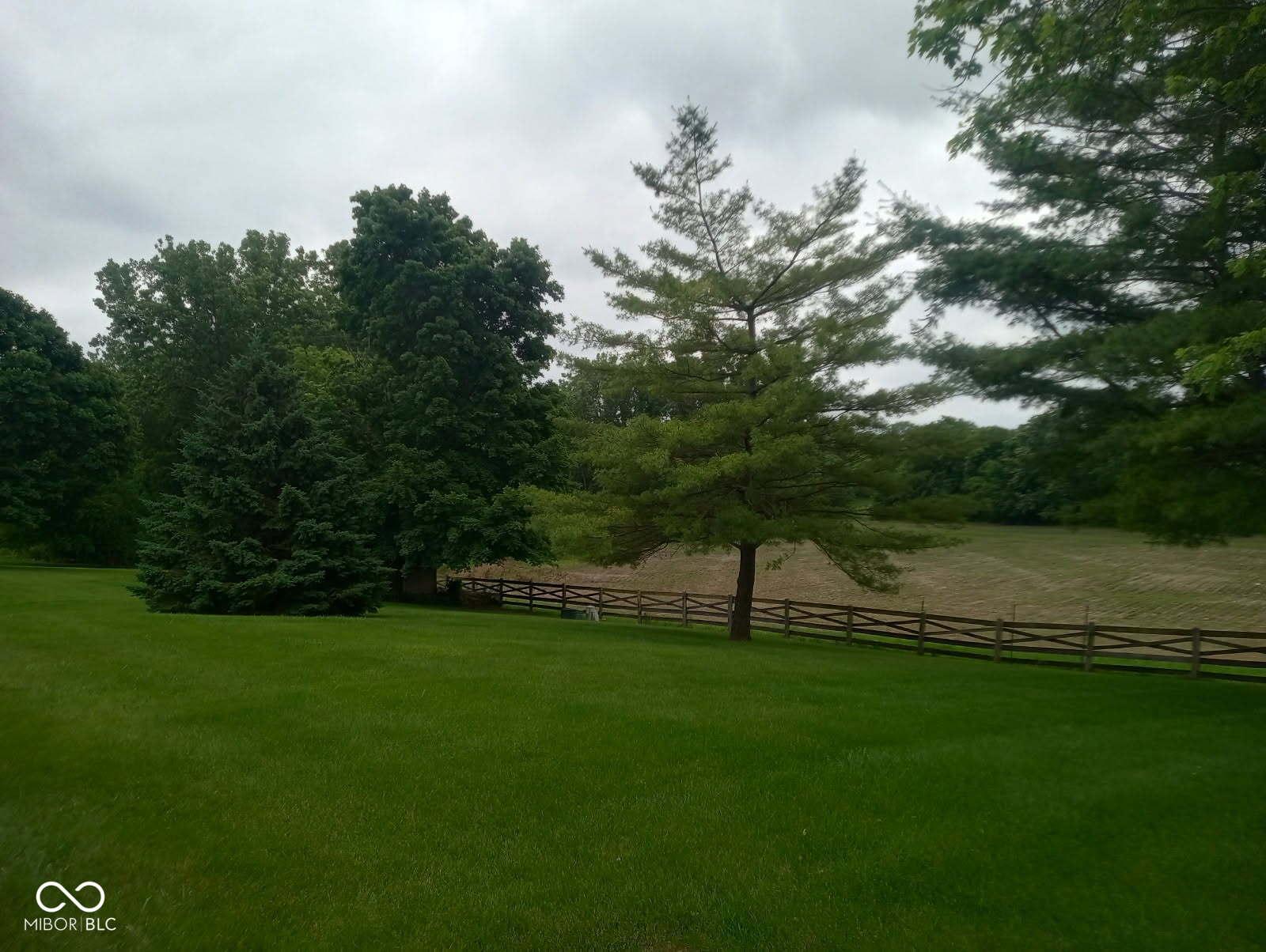 Photo #39