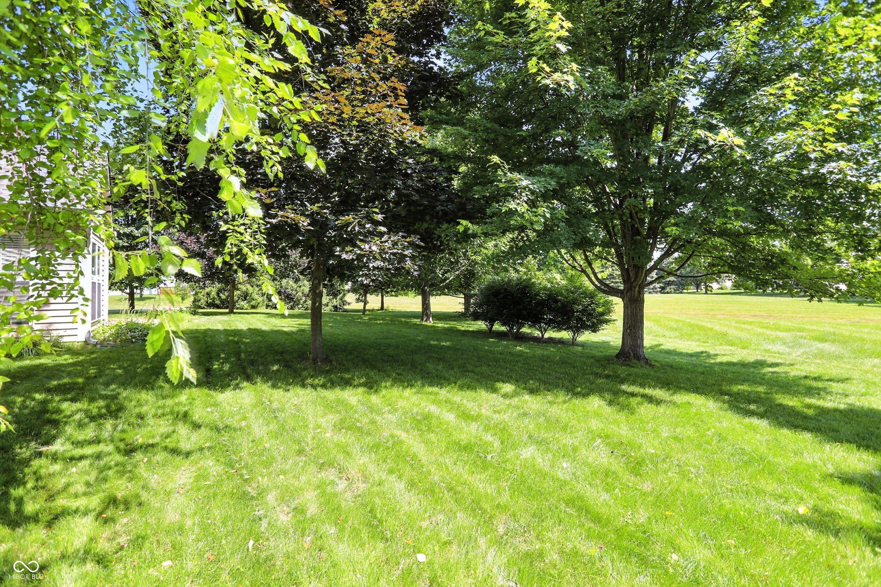 Photo #53