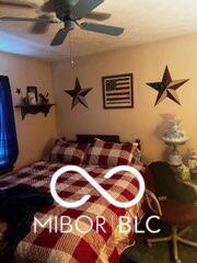 Photo #12