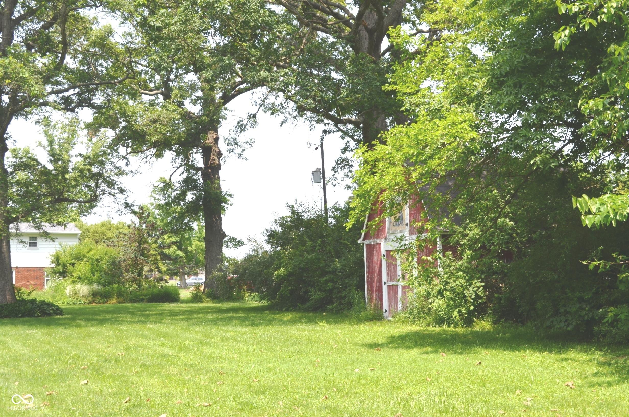 Photo #36