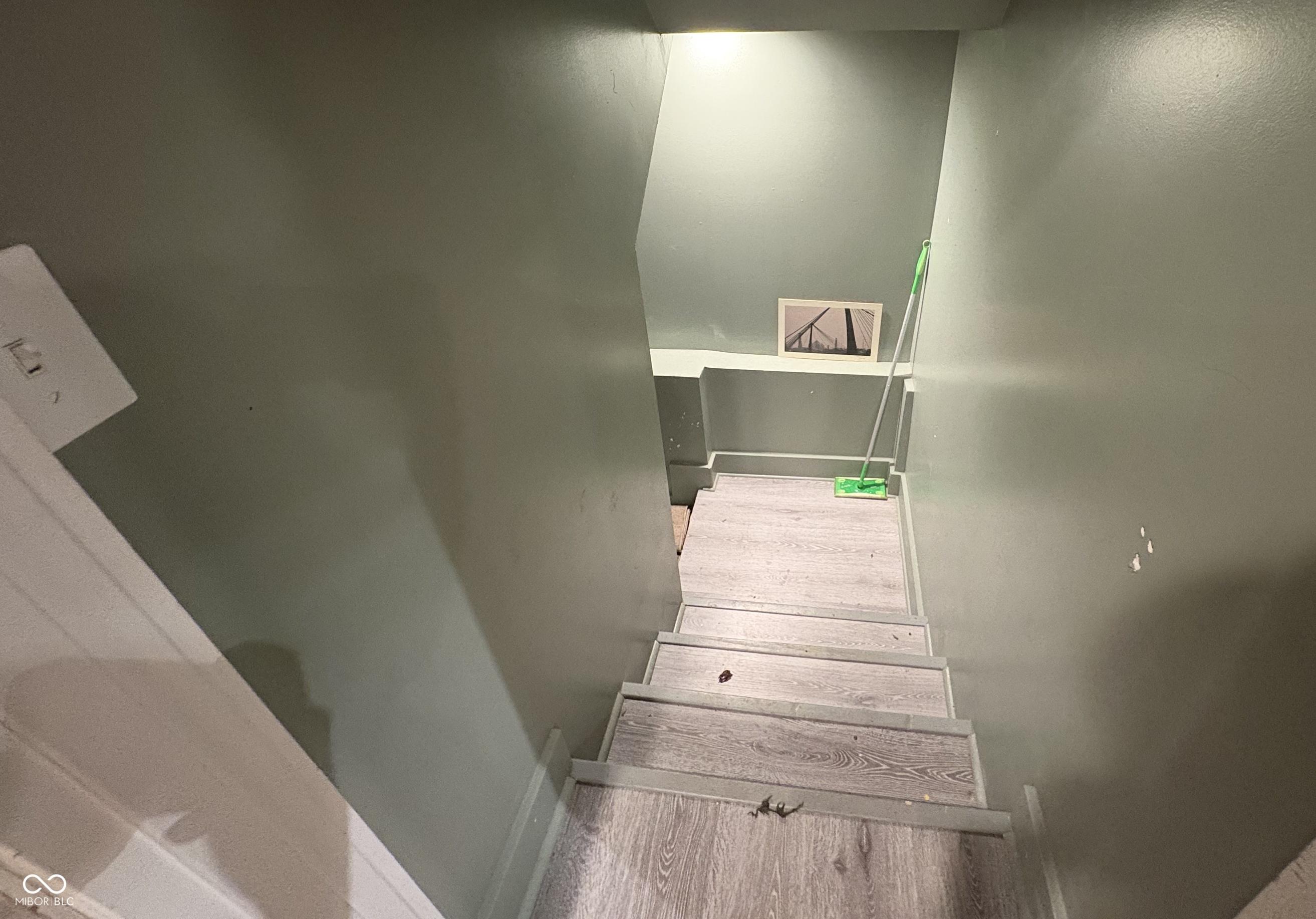 Photo #24