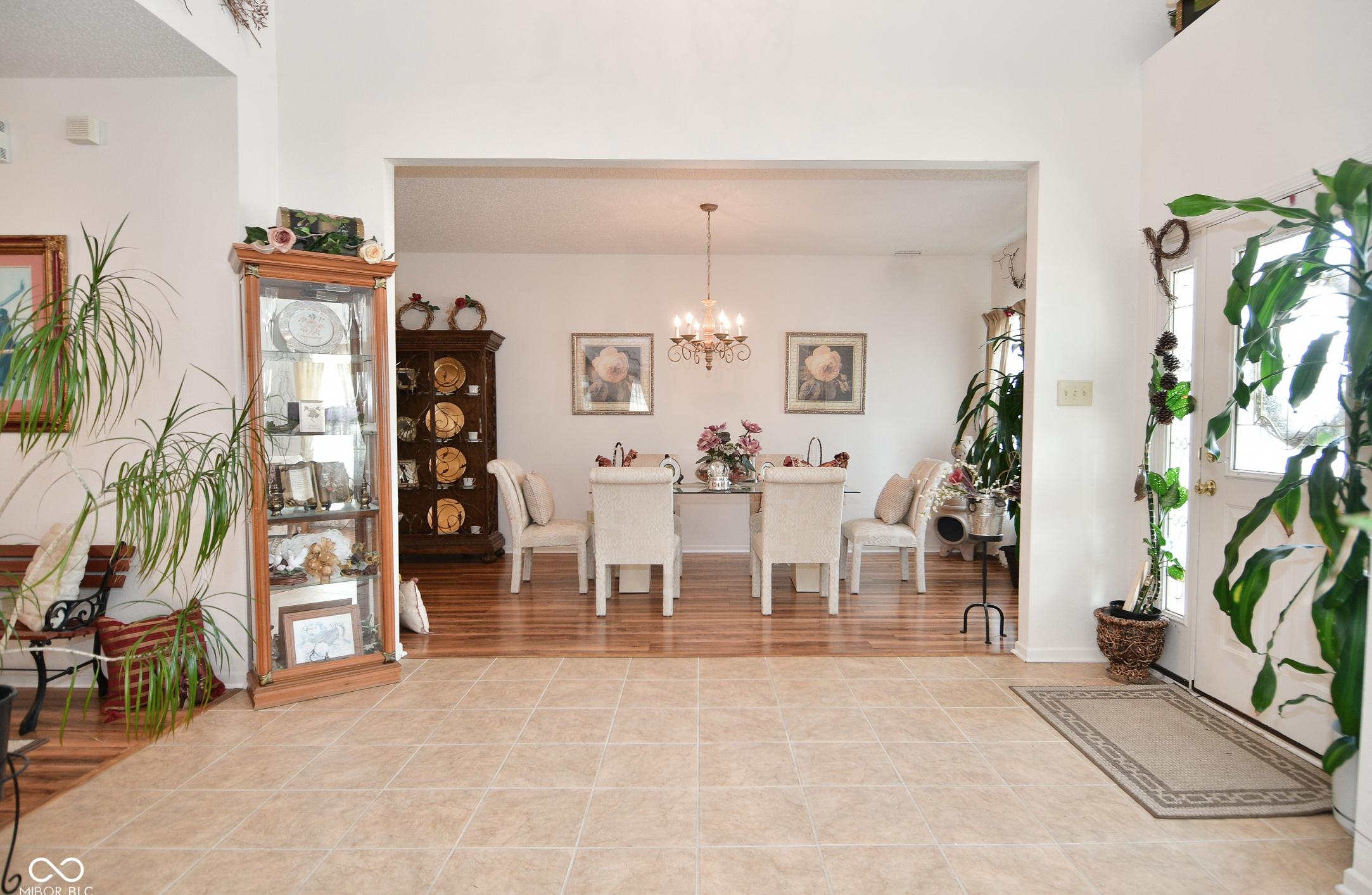 Photo #4
