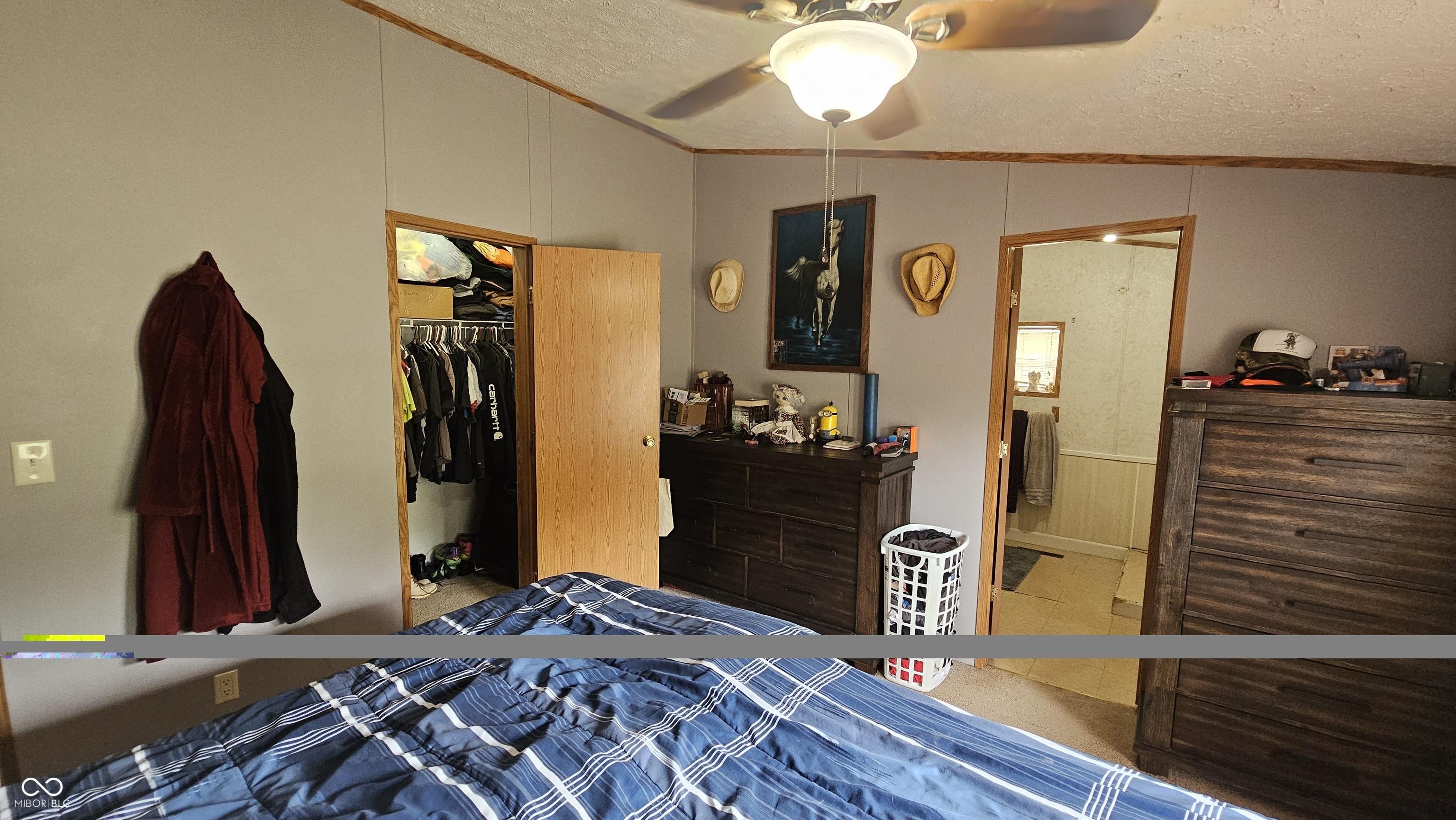 Photo #21