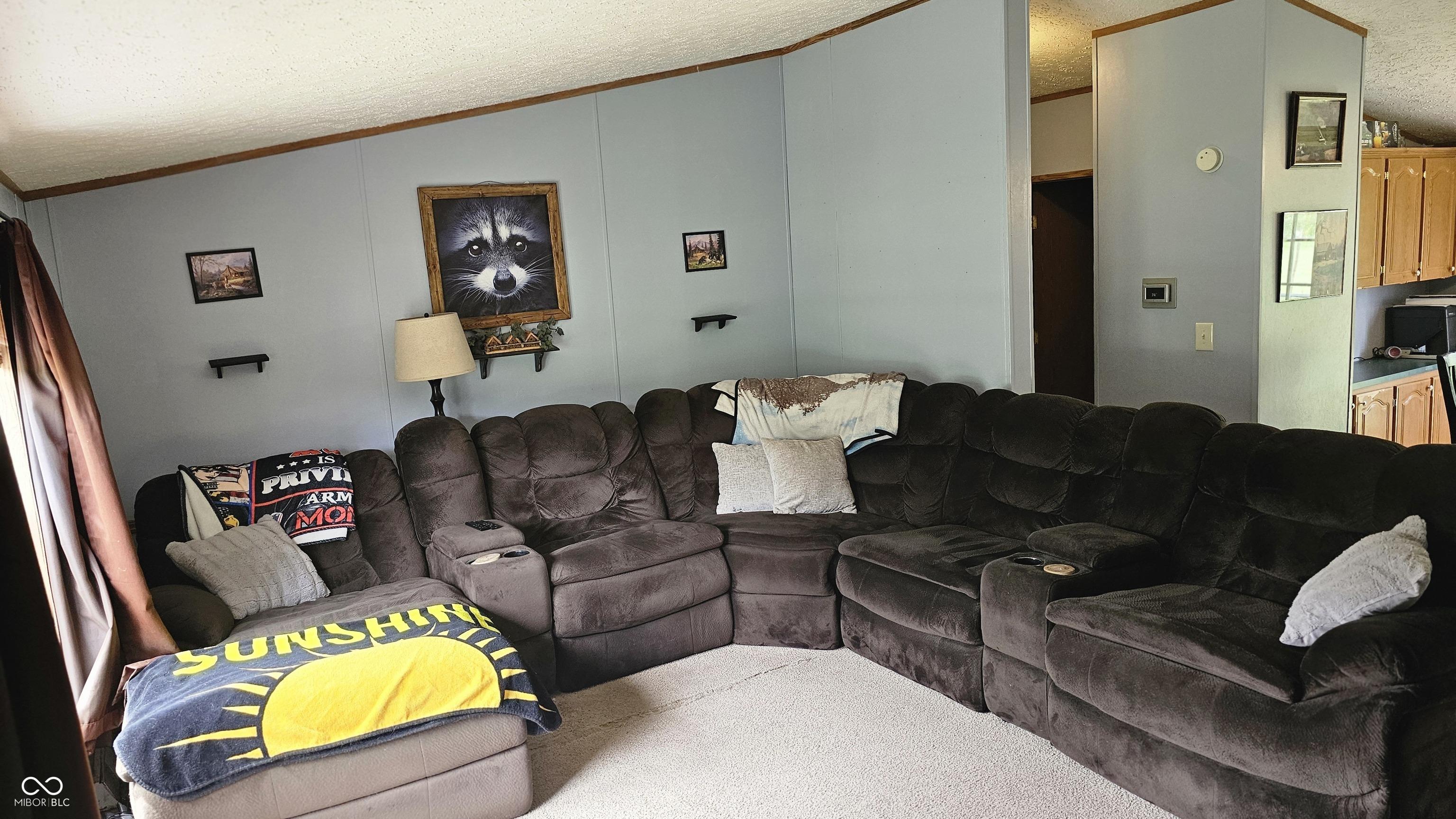 Photo #24
