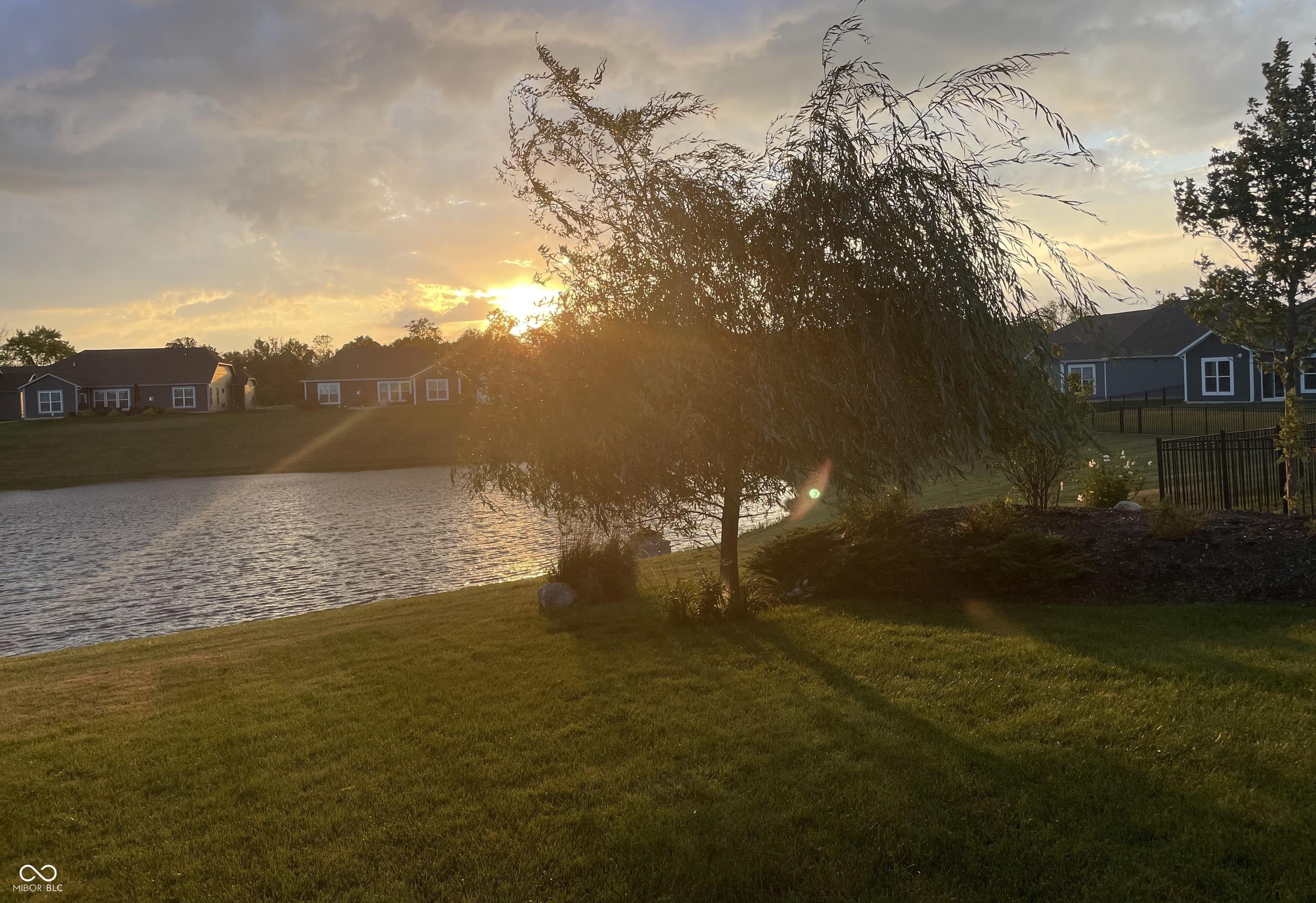 Photo #58
