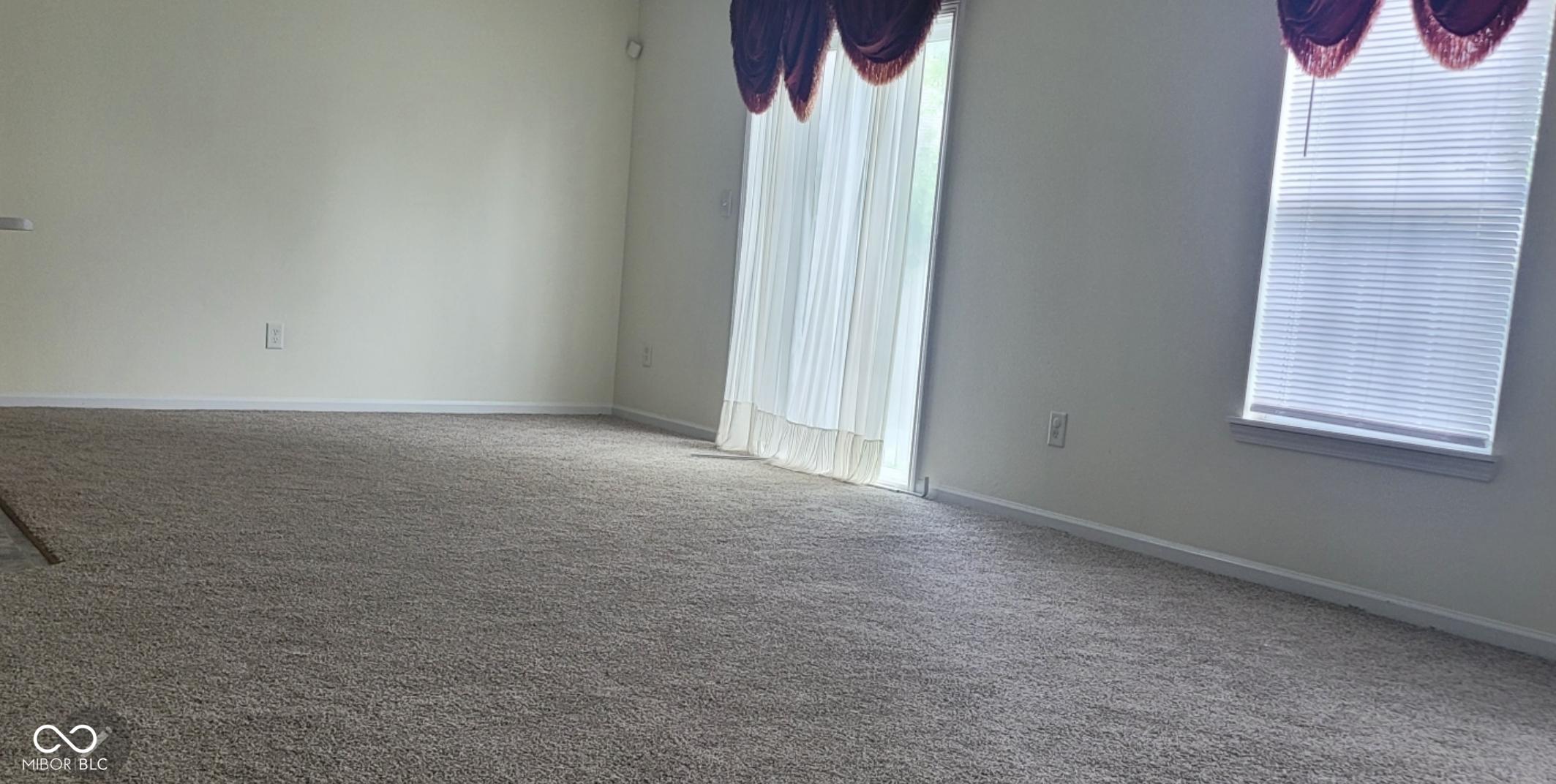 Photo #24