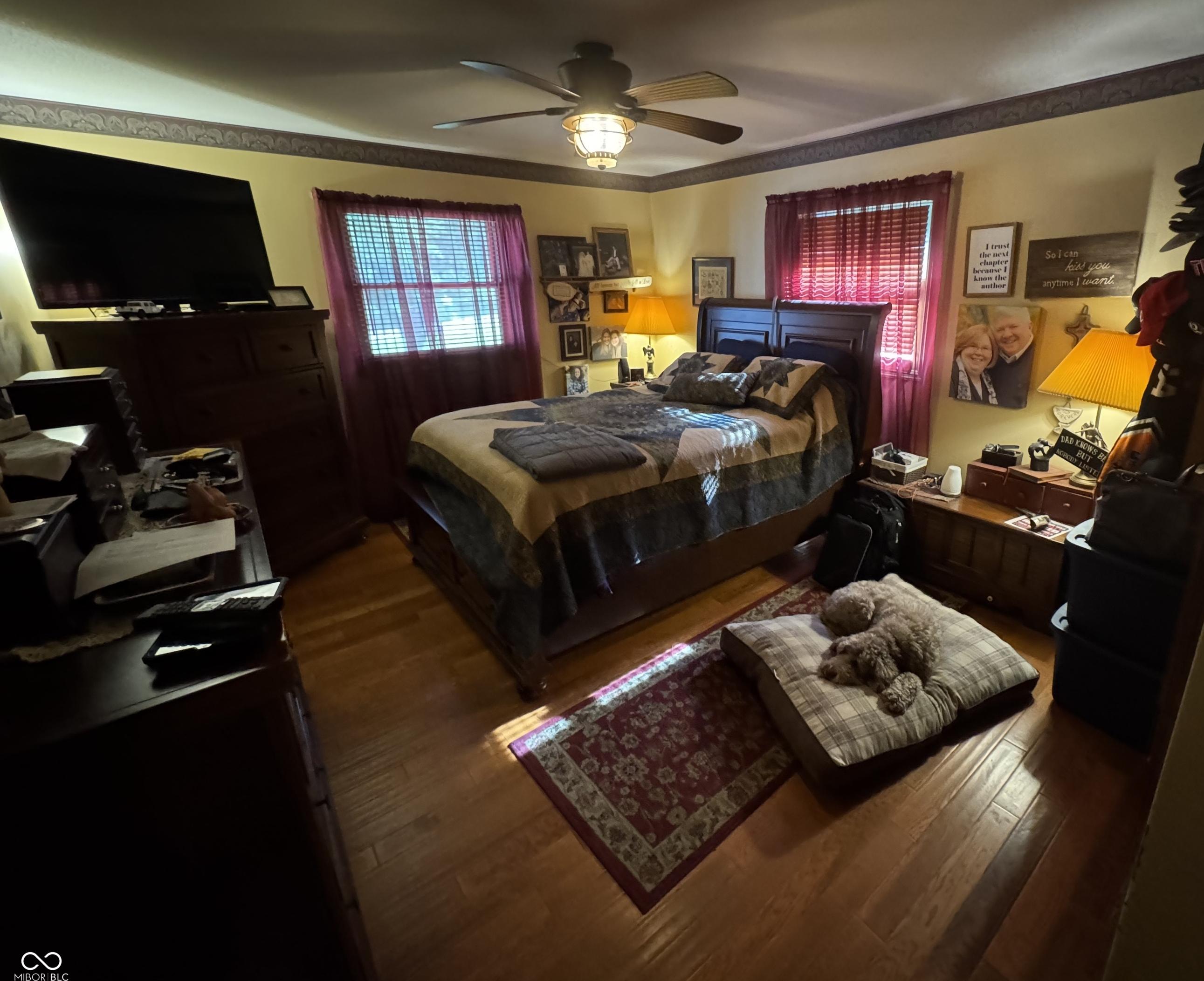 Photo #41