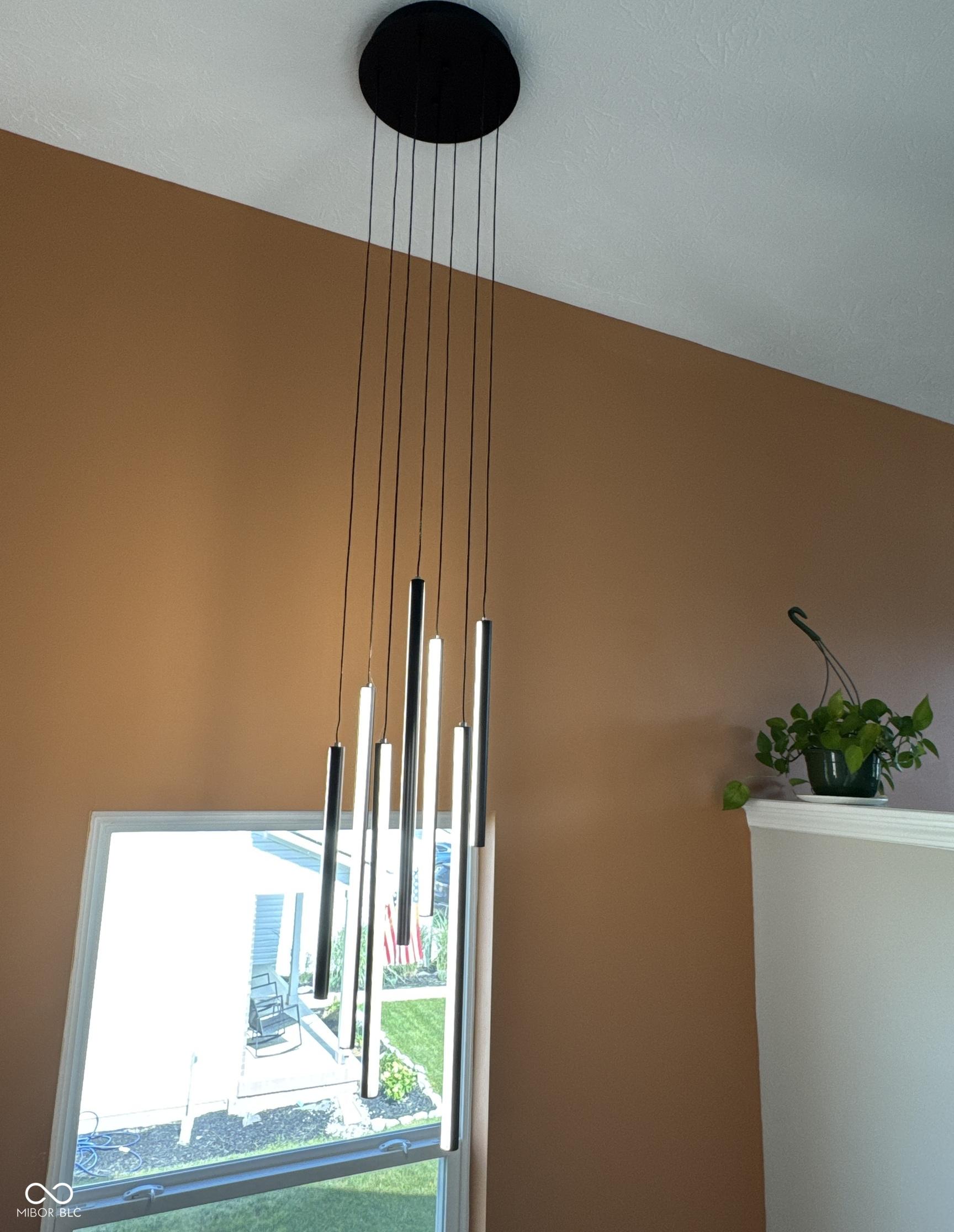 Photo #43