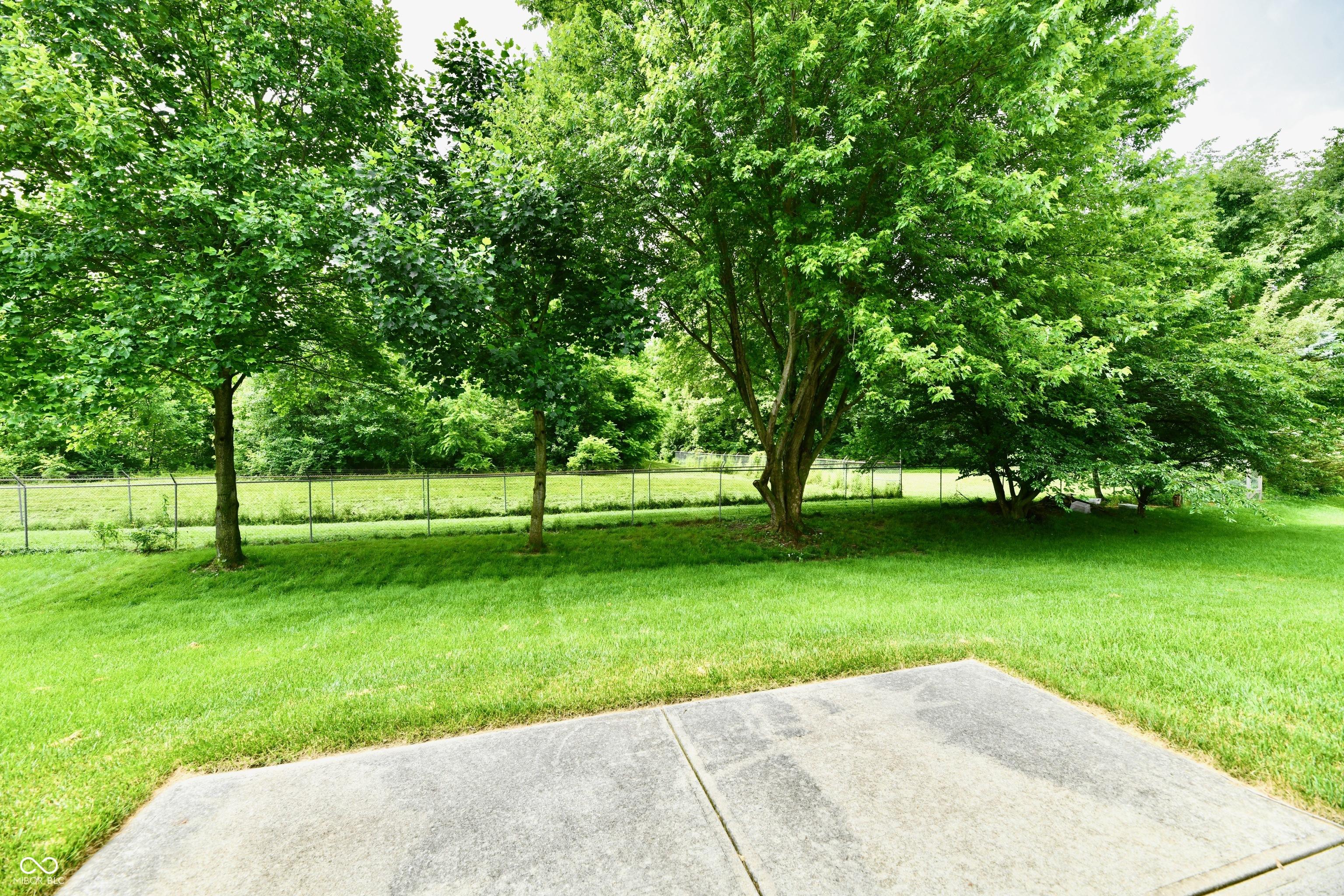 Photo #30