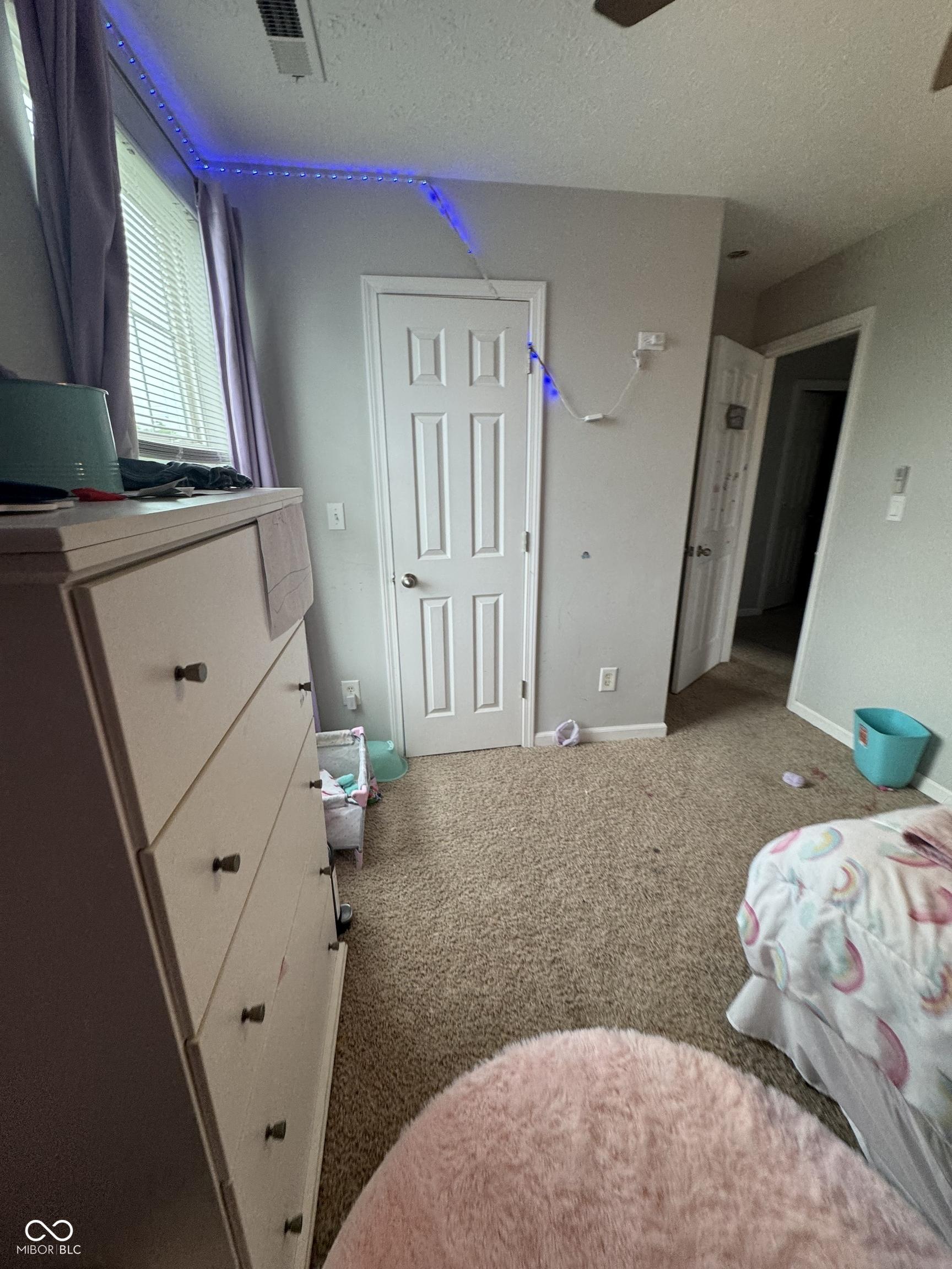 Photo #37