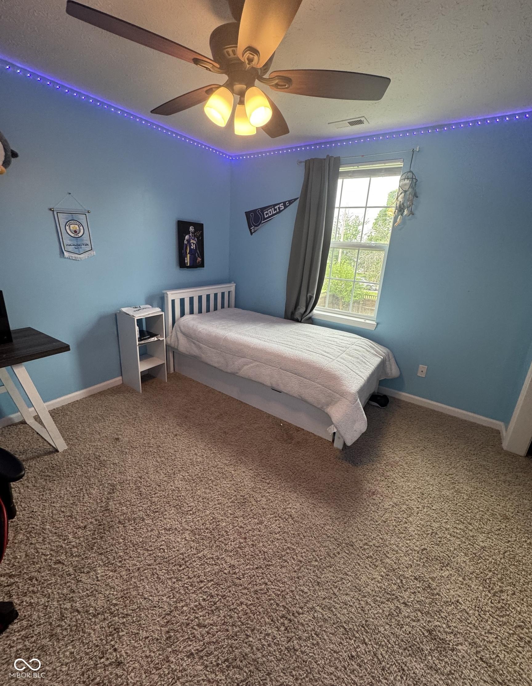 Photo #43