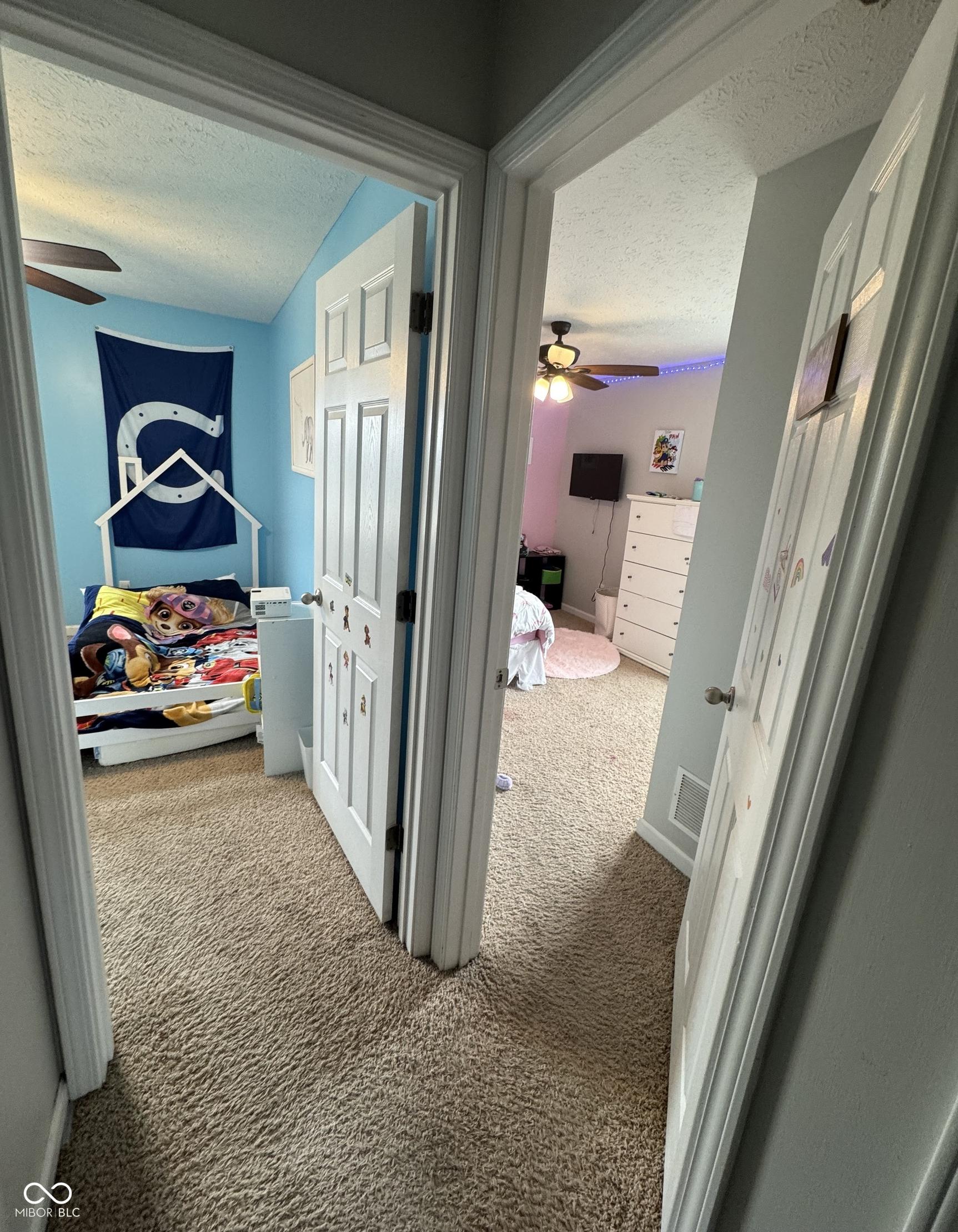 Photo #42