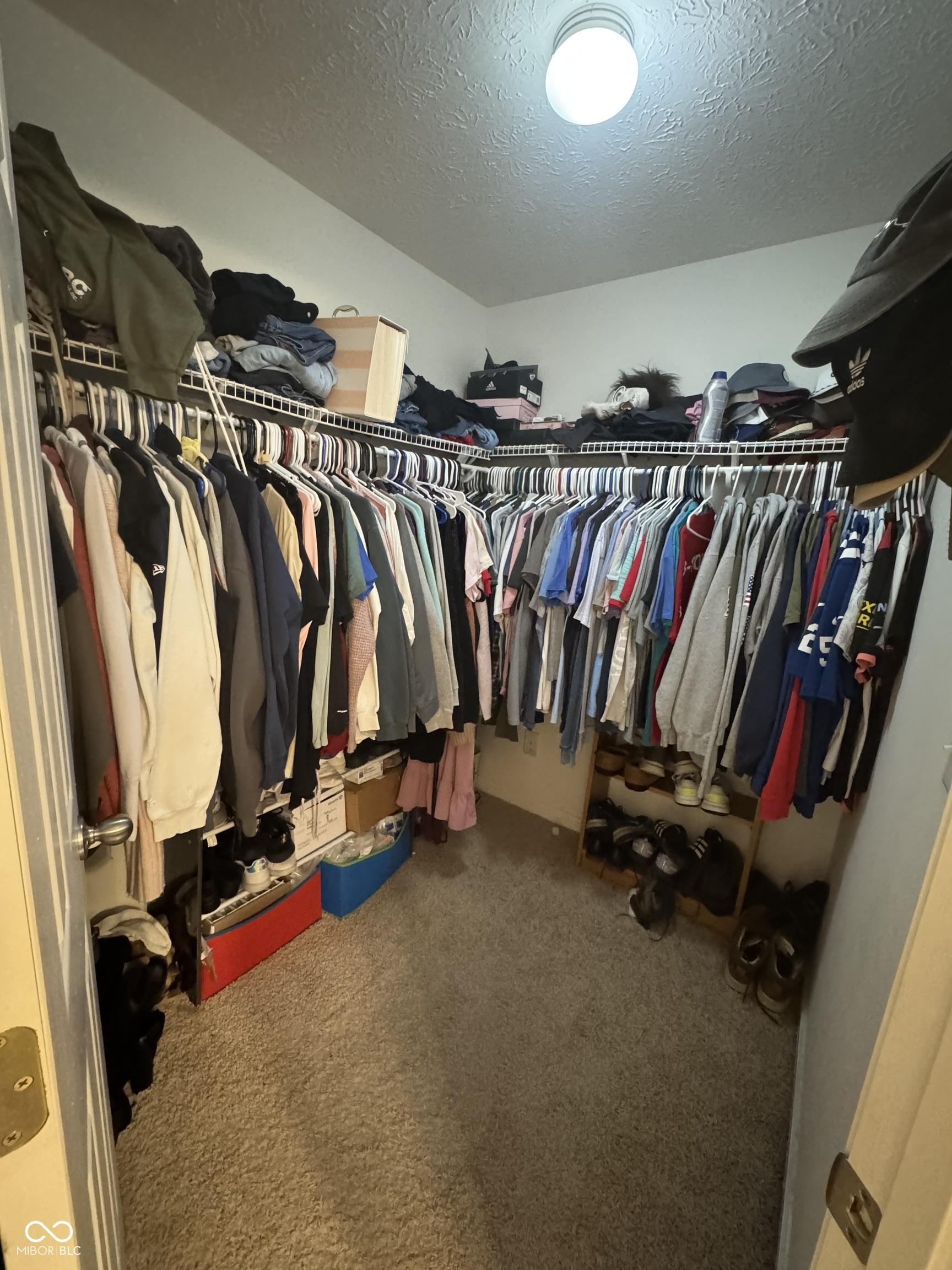 Photo #50