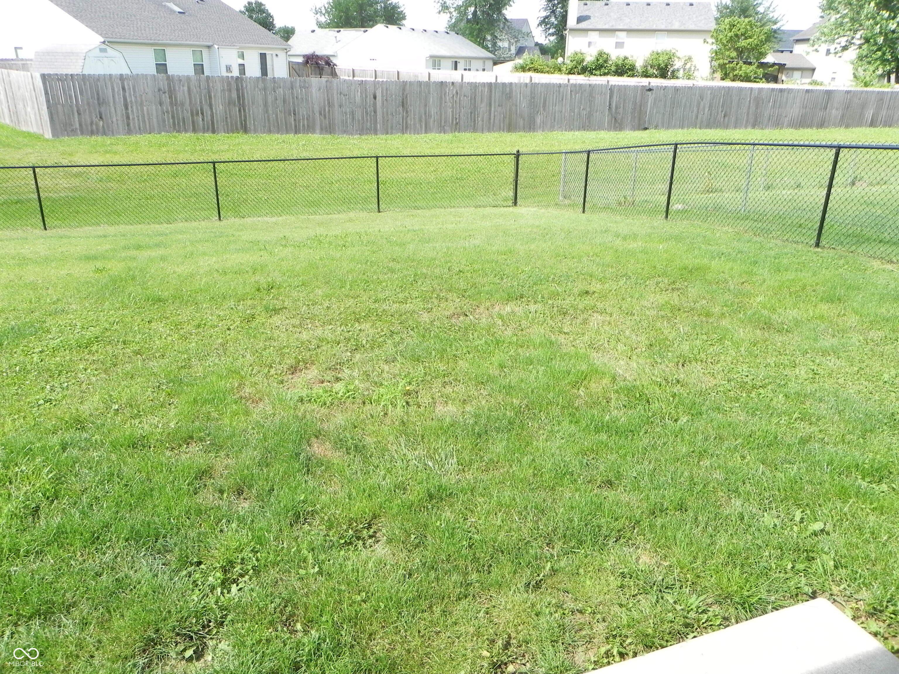 Photo #23