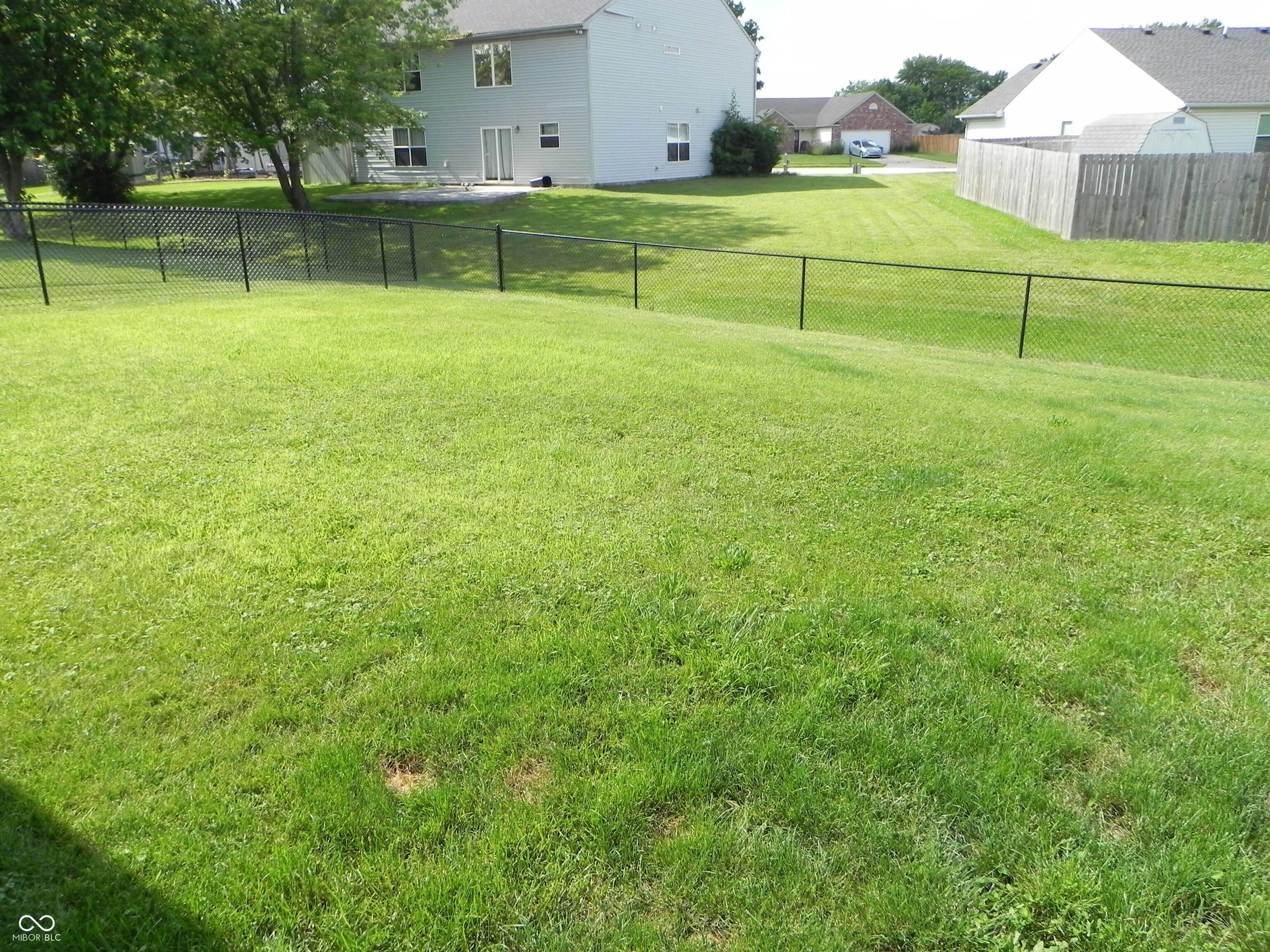 Photo #24