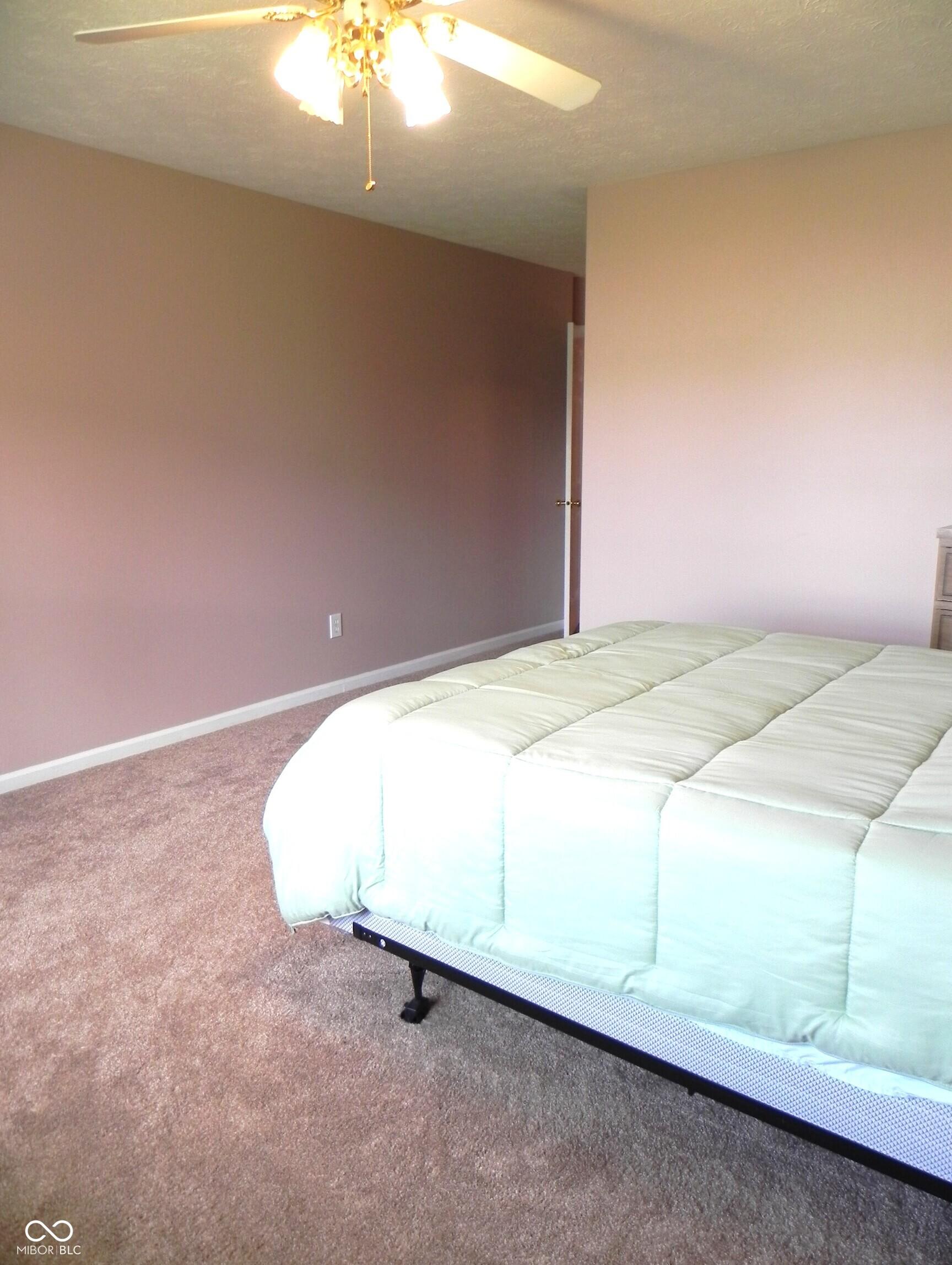 Photo #14
