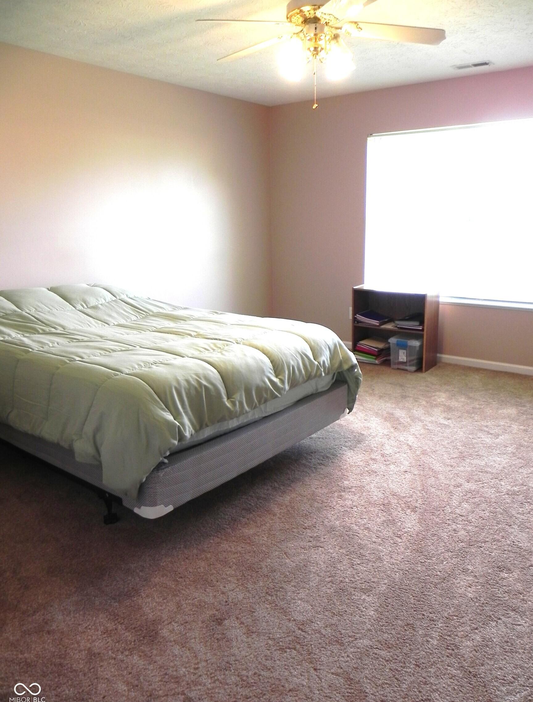 Photo #15