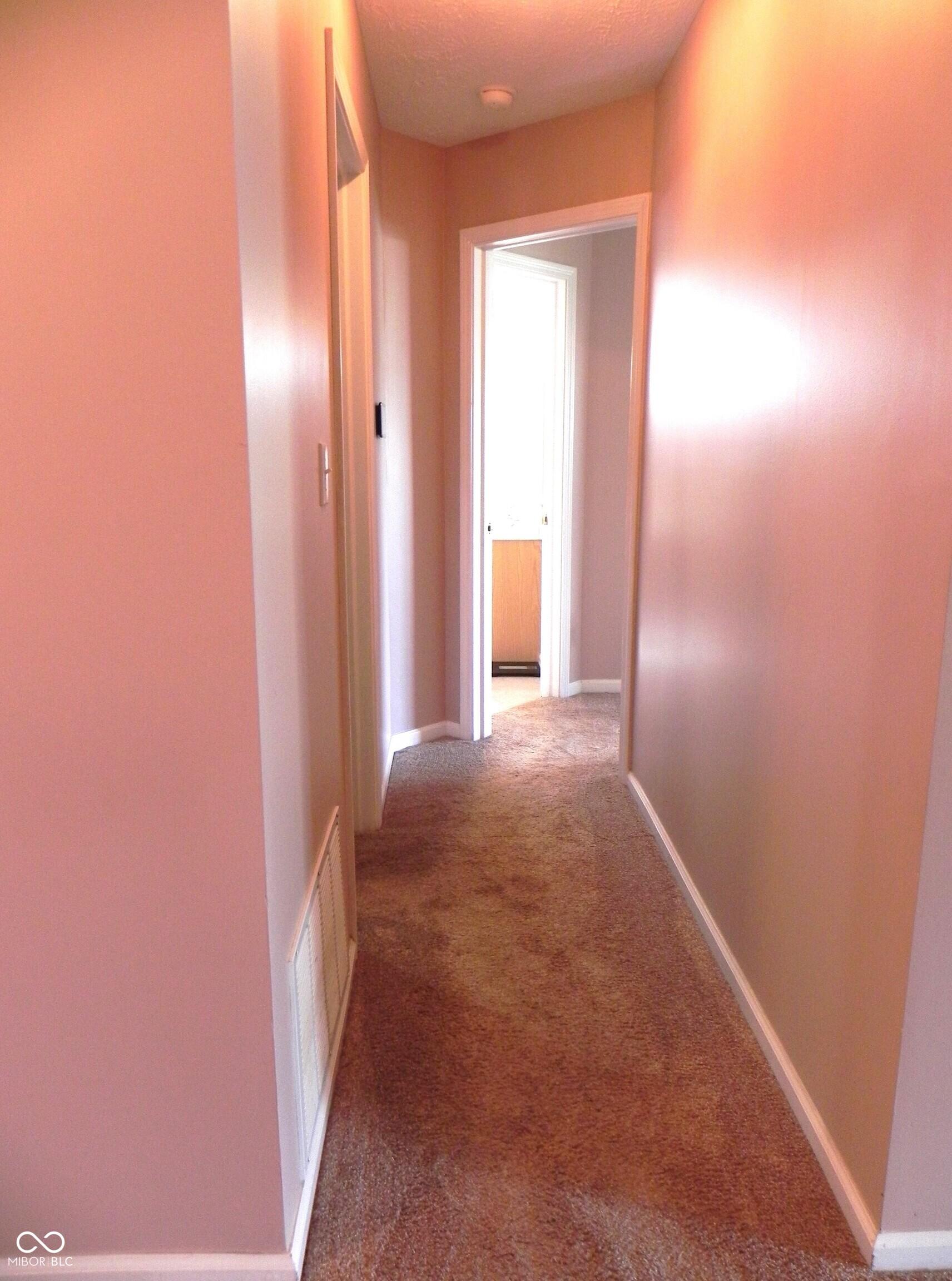 Photo #11