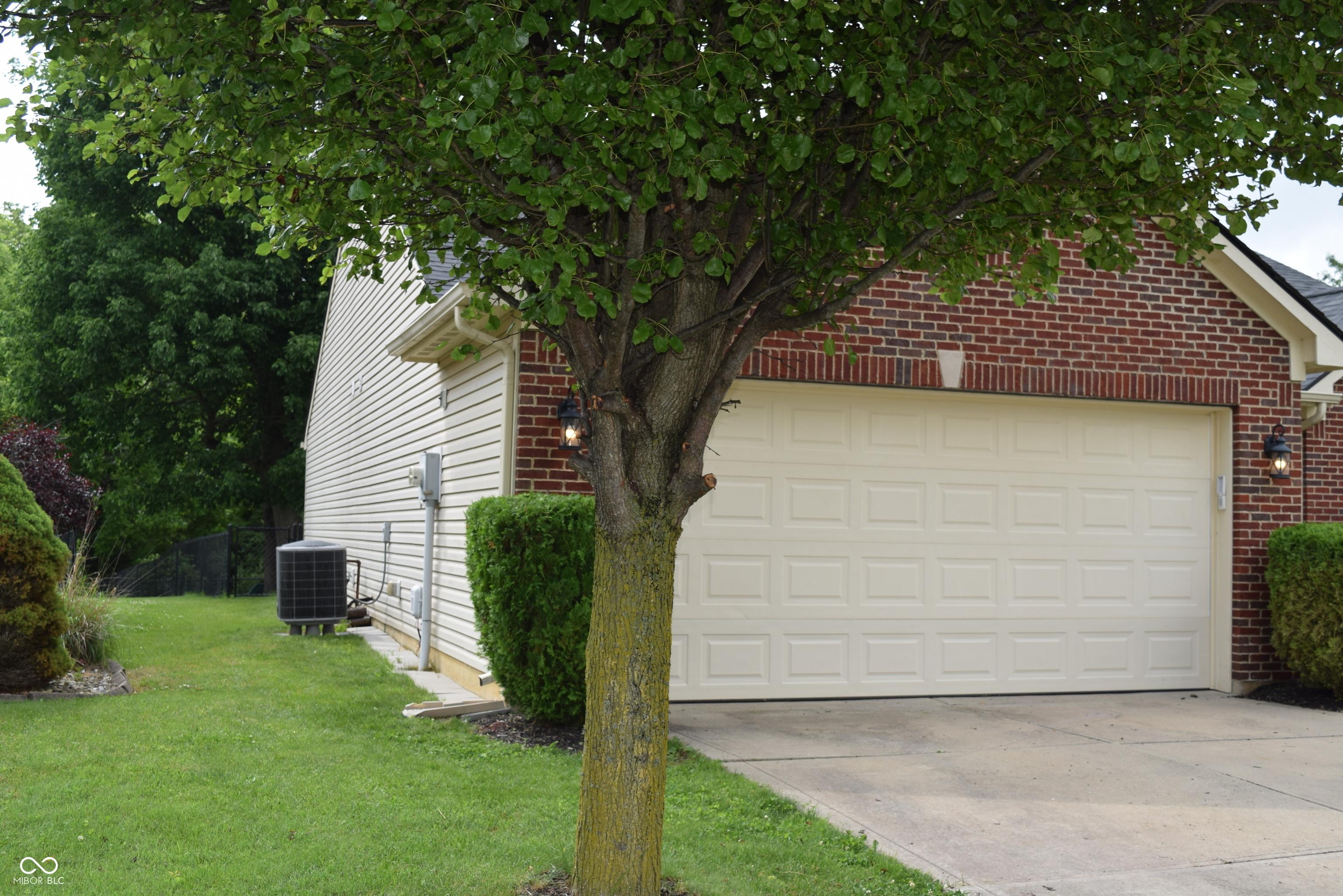 Photo #4