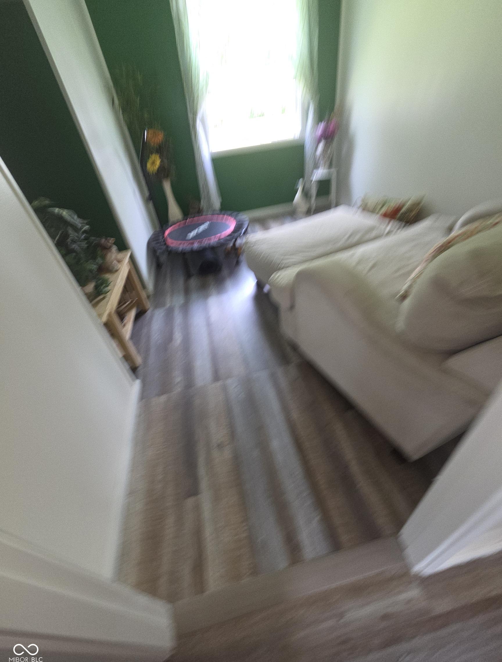 Photo #12