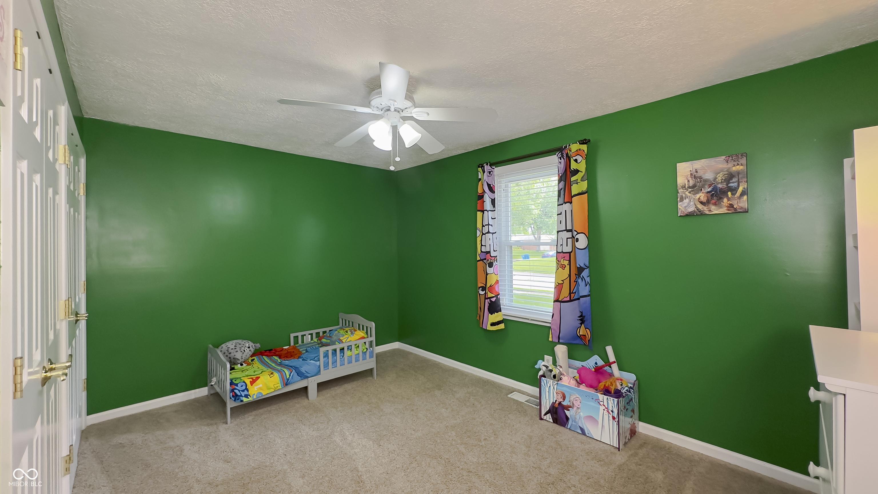 Photo #24