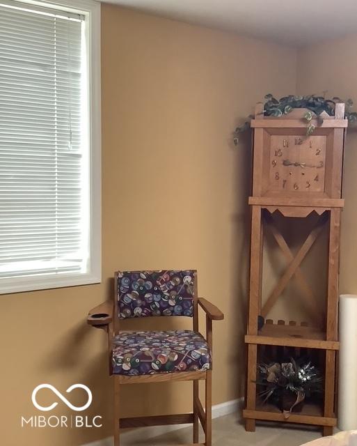 Photo #38