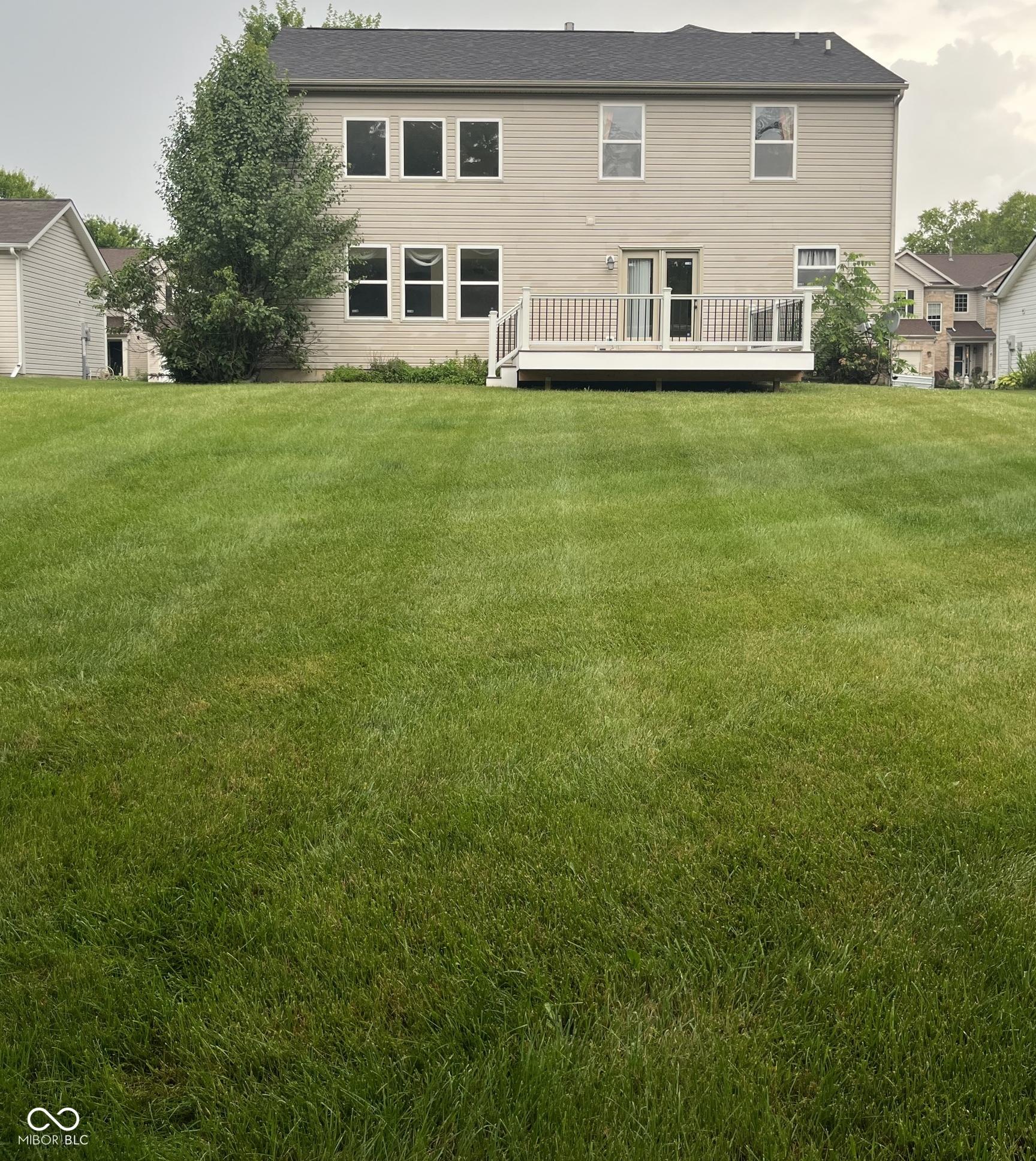 Photo #43