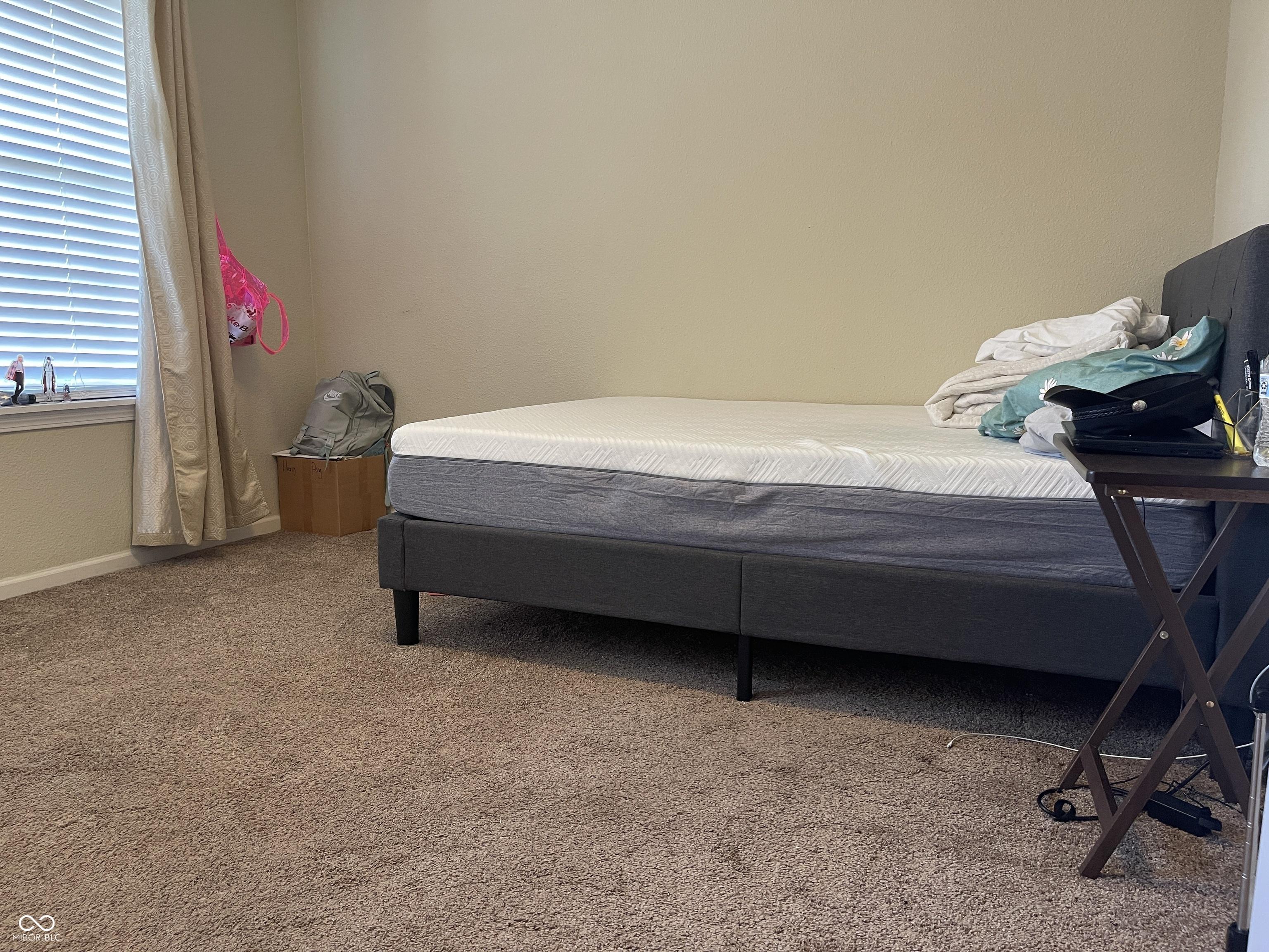 Photo #14