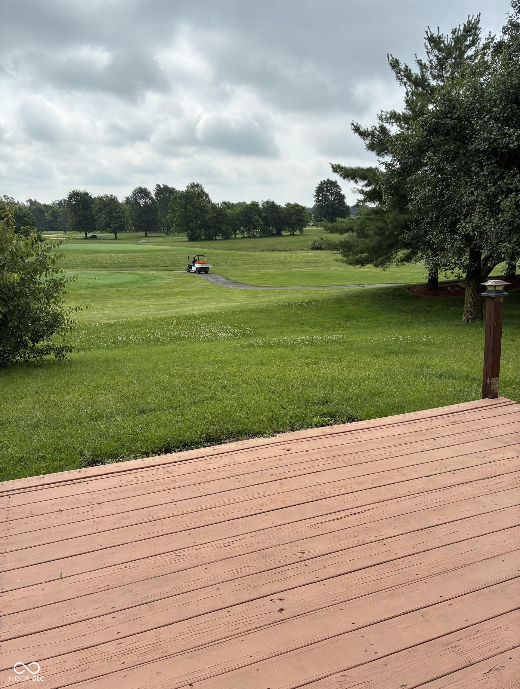 Photo #52